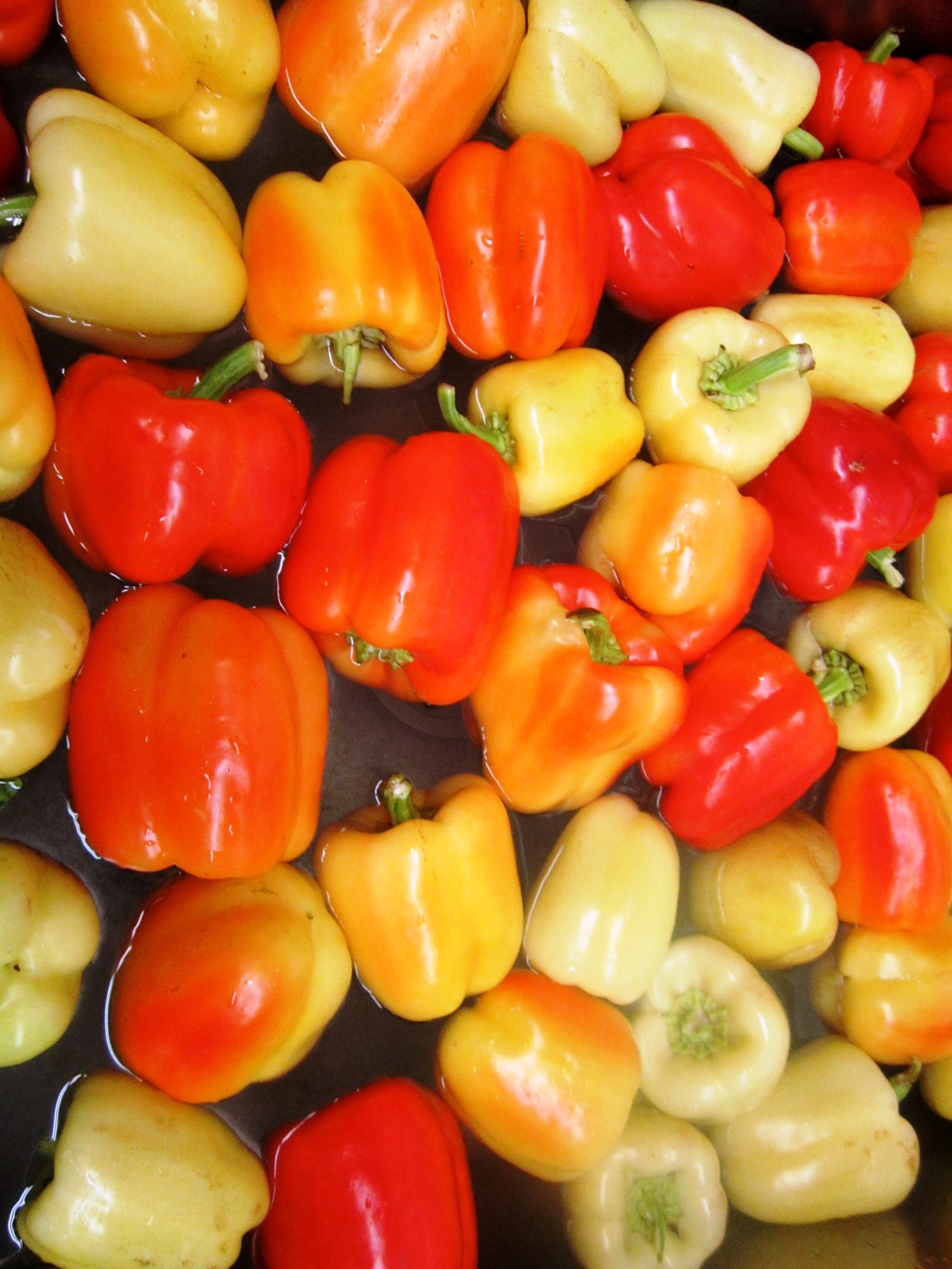 Preservation Peppers donated by the Witte's Vegetable Farm c/o Bill Balbach