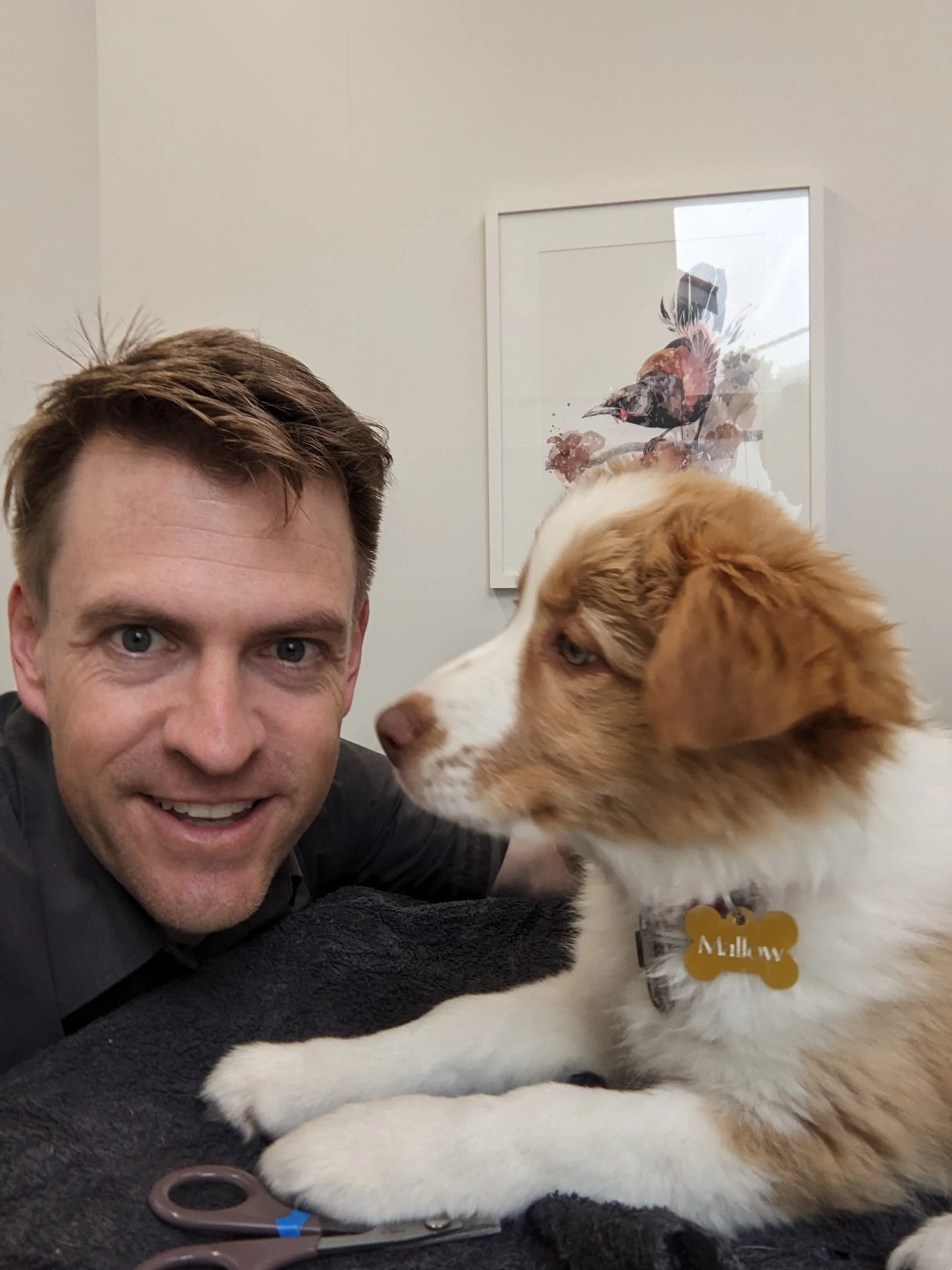 Brendon Bullen veterinarian for cats, dogs and rabbits. Special interest in surgery and dentistry