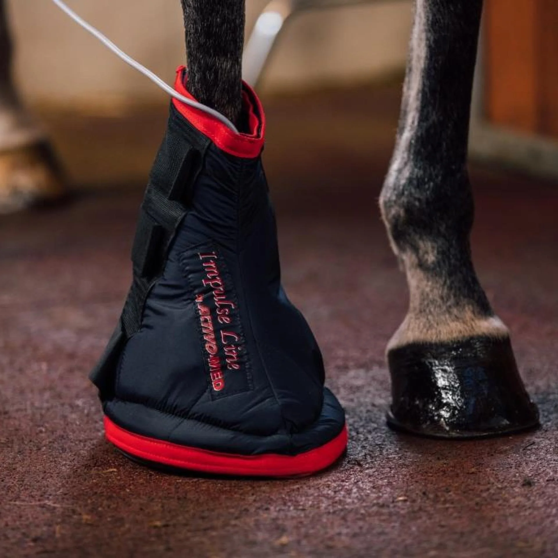 Activomed IMPULSELINE Hoof Boot