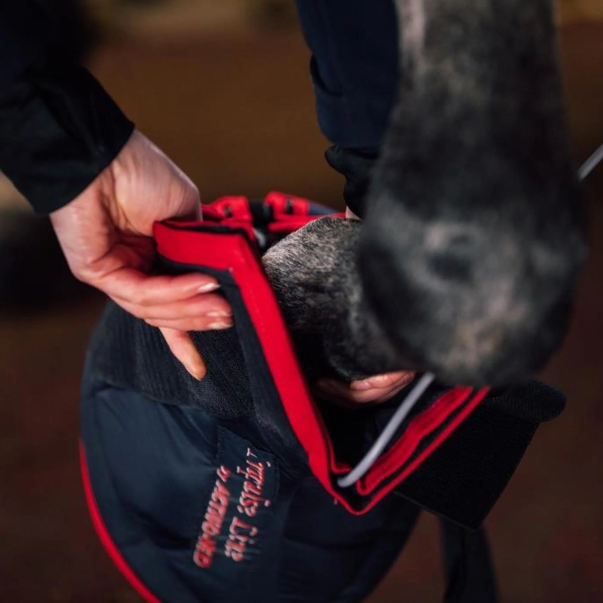 Activo-Med Hufboot.jpg