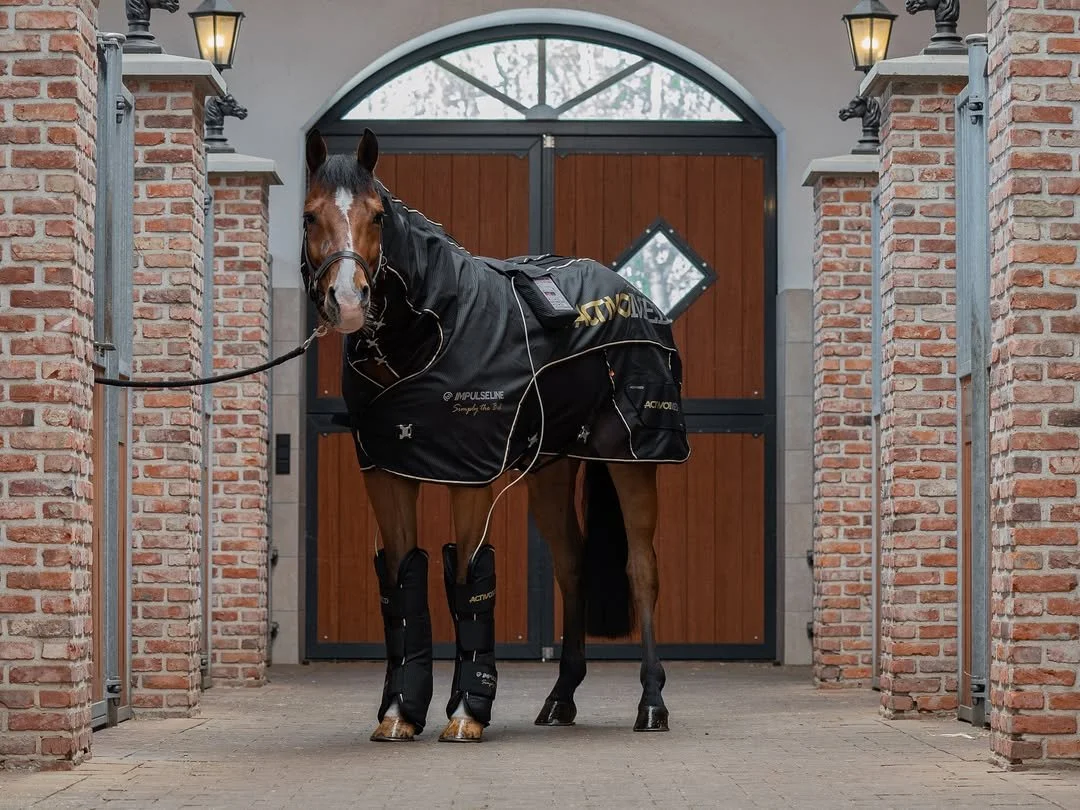 Activomed IMPULSELINE Simply The Best