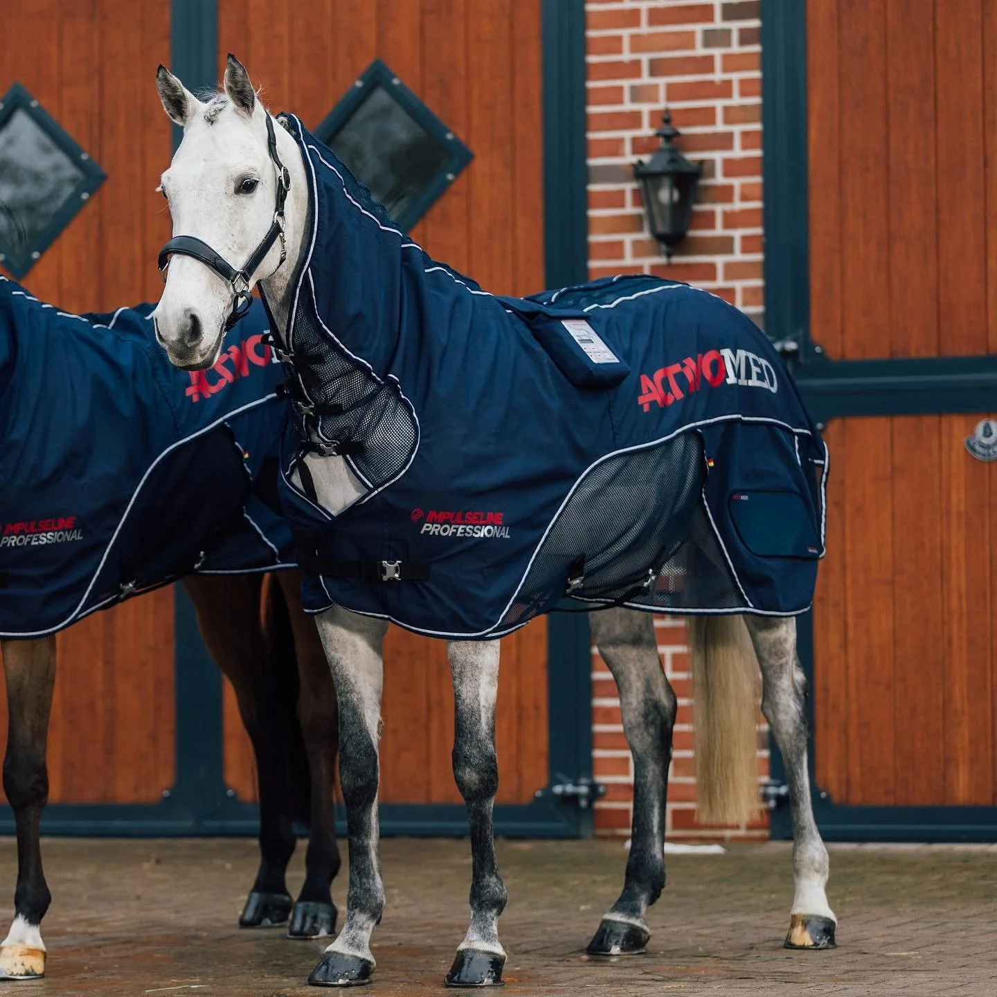 Activomed IMPULSELINE Professional