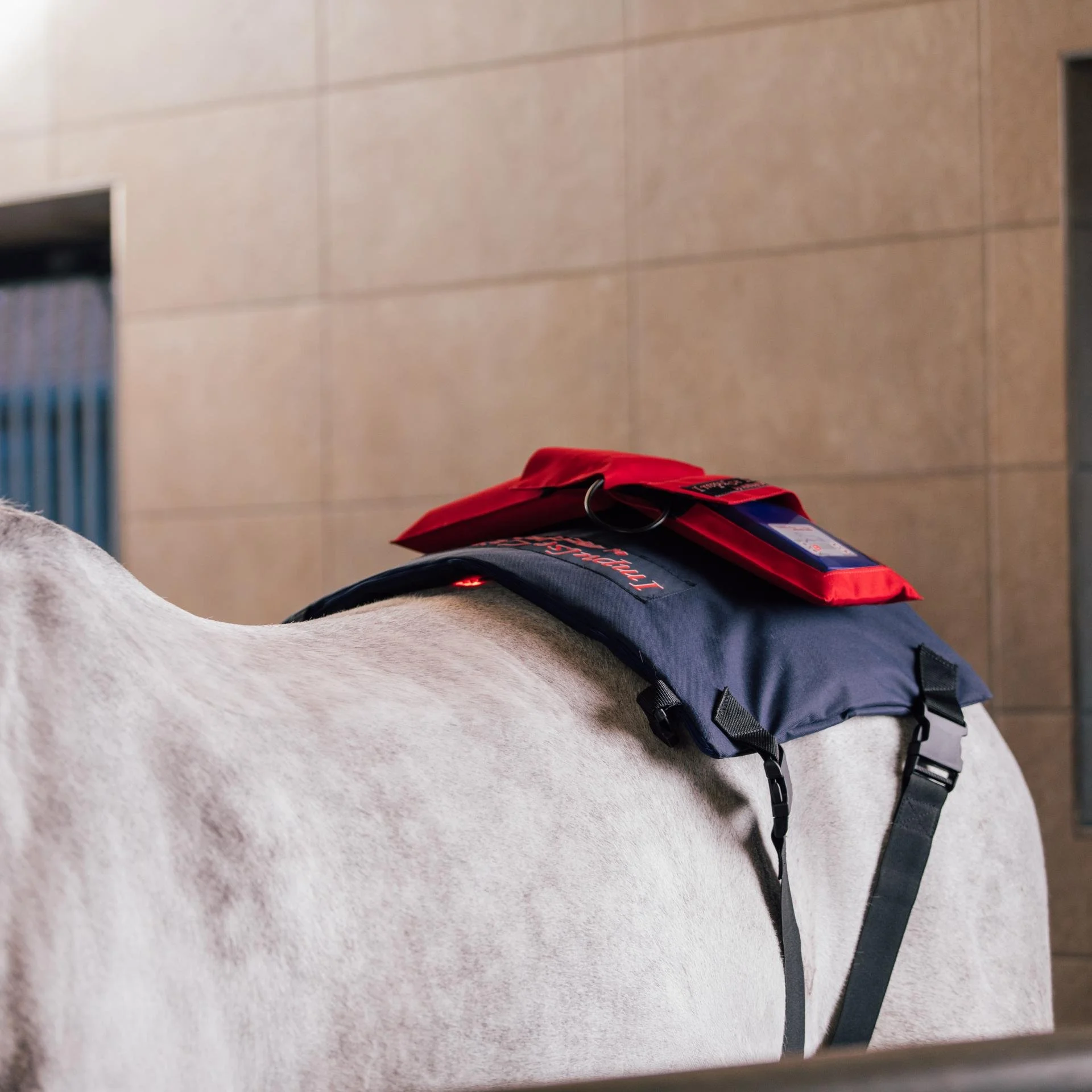 Activo-Med WLP PowerPad Kruppe.jpg