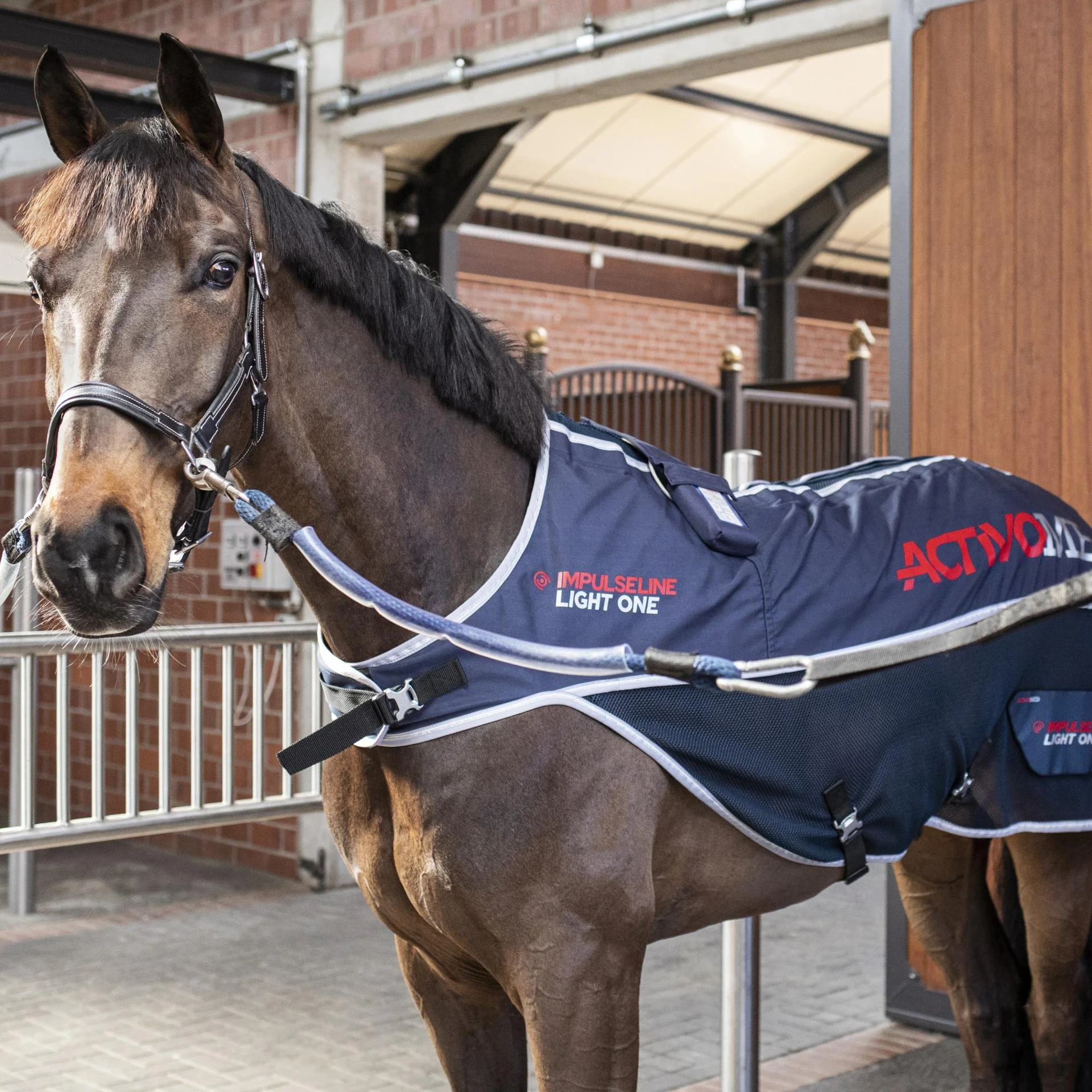 Activomed IMPULSELINE Light One