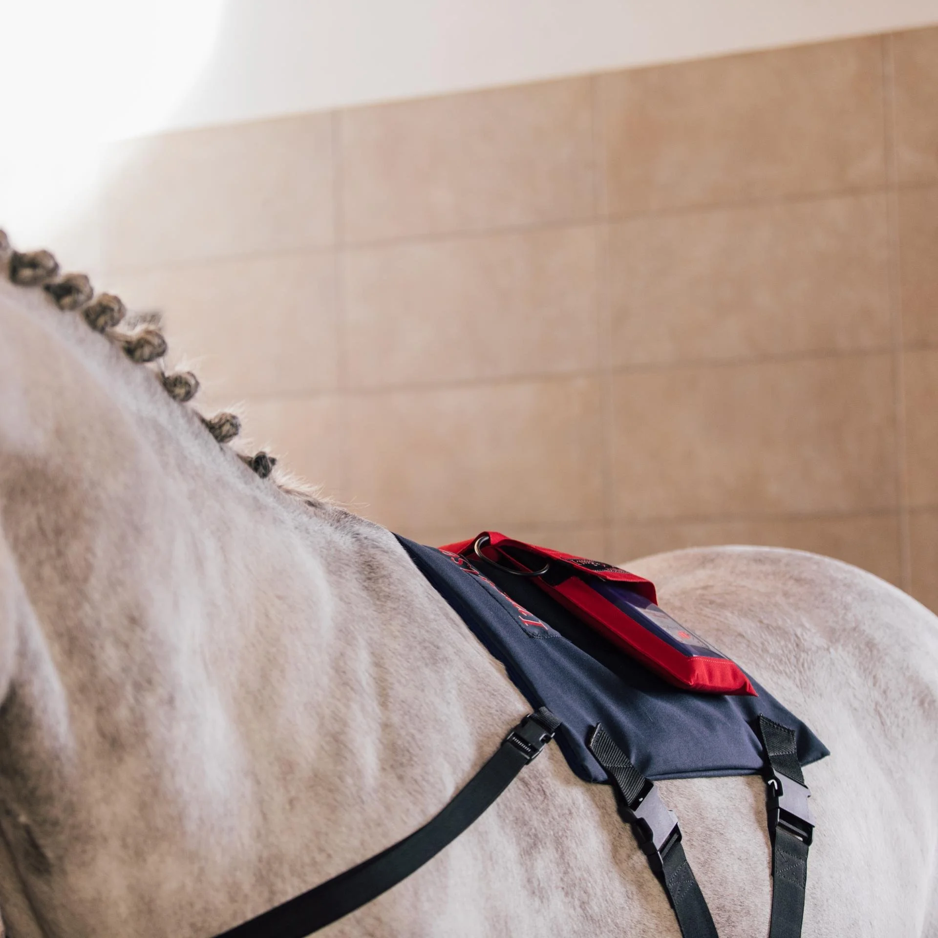 Activo-Med WLP PowerPad Rücken 2jpg.jpg