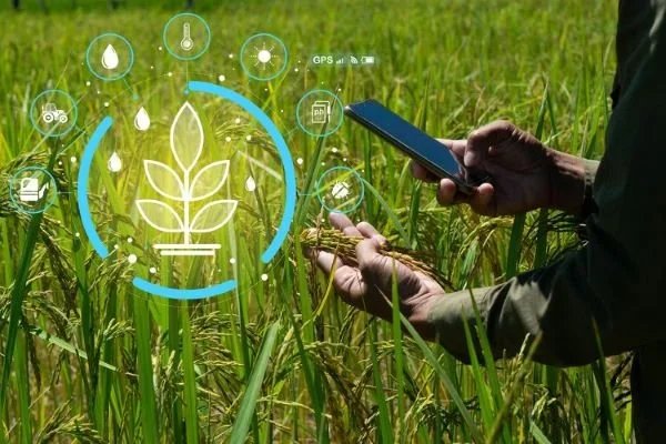 Digital agriculture in the paddock