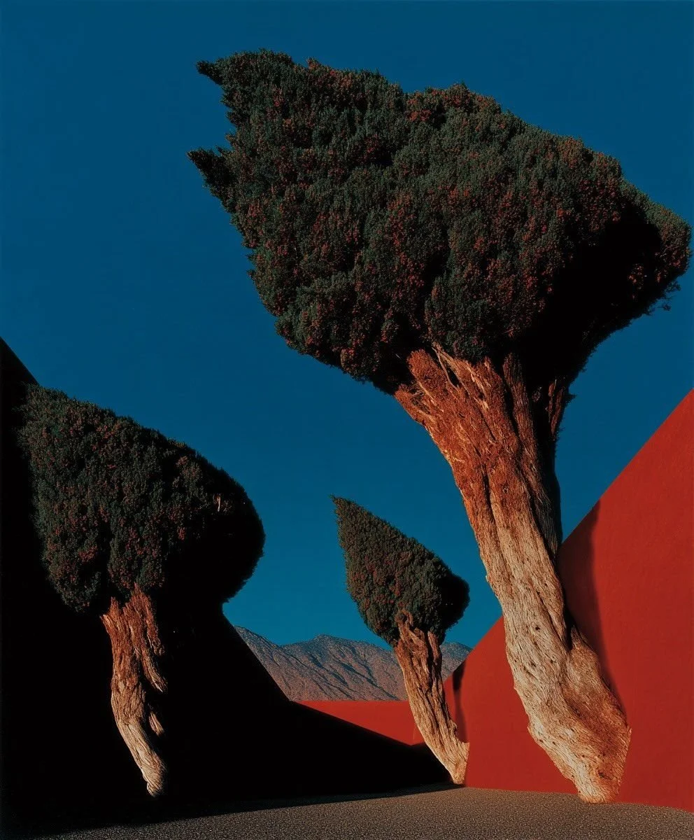 Breathwork Rebirth — Retraite Immersive BRUXELLES