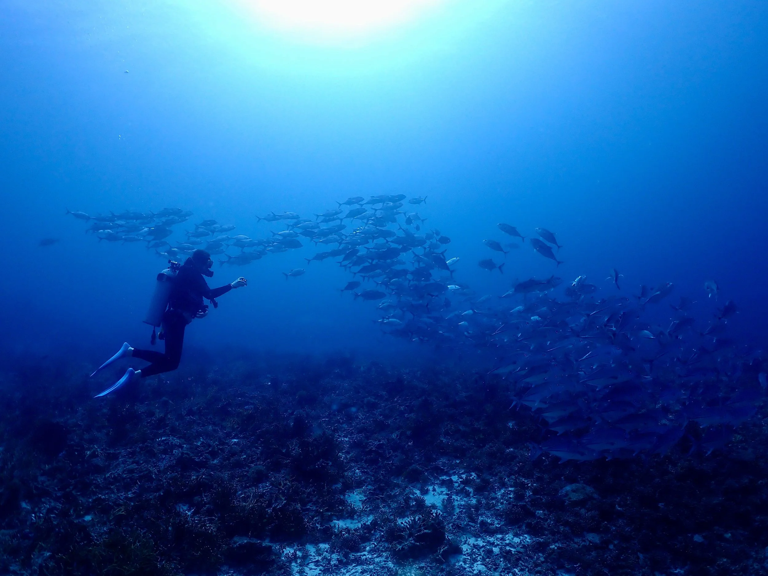 N°18: Le temps d’intégrer