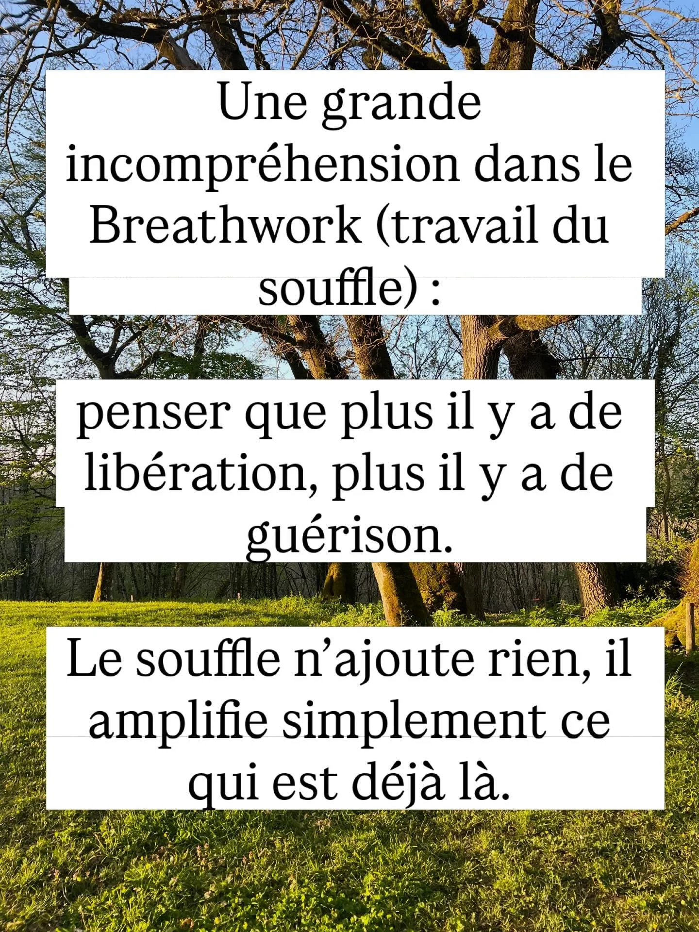 Une grande incompr&eacute;hension dans le Breathwork, c&rsquo;est de croire que plus il y a de lib&eacute;ration, plus il y a de gu&eacute;rison.

Parfois, oui&hellip; quand il y a assez de capacit&eacute; int&eacute;rieure pour accueillir ce qui &ea