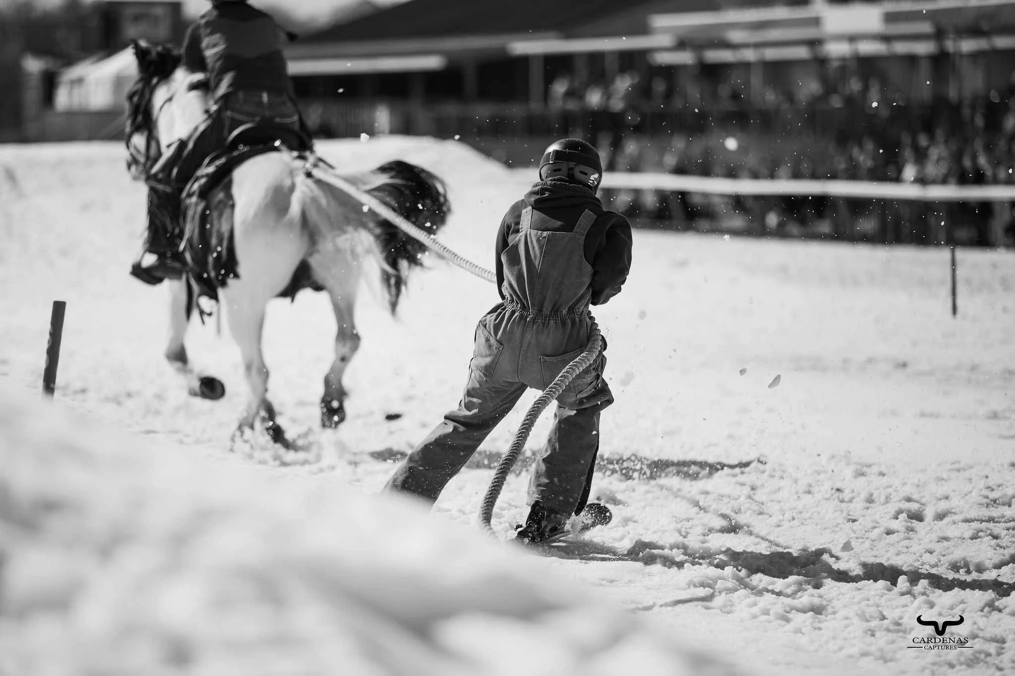 A person in winter clothing holding a rope and running in the snow while a horse with a saddle and harness is pulling in a snowy field. Skijouring