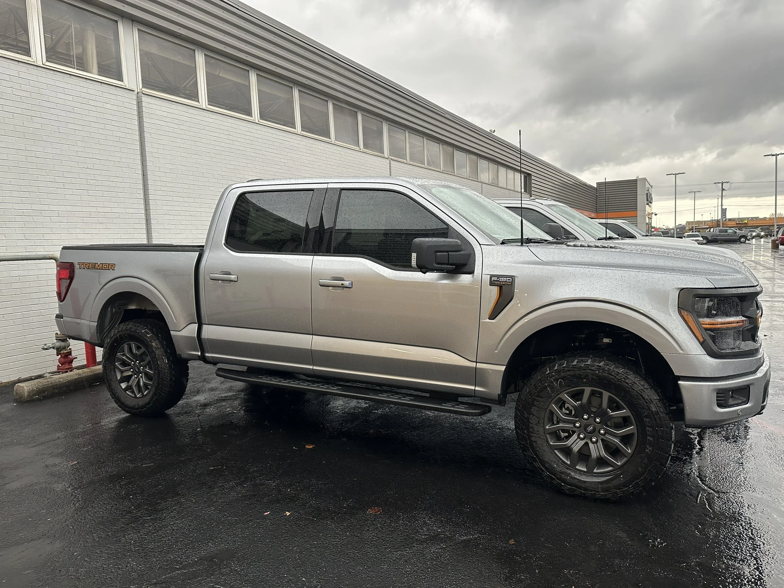 A silver Ford F-150 pickup truck parked outside Showcasing the Tinted Windows