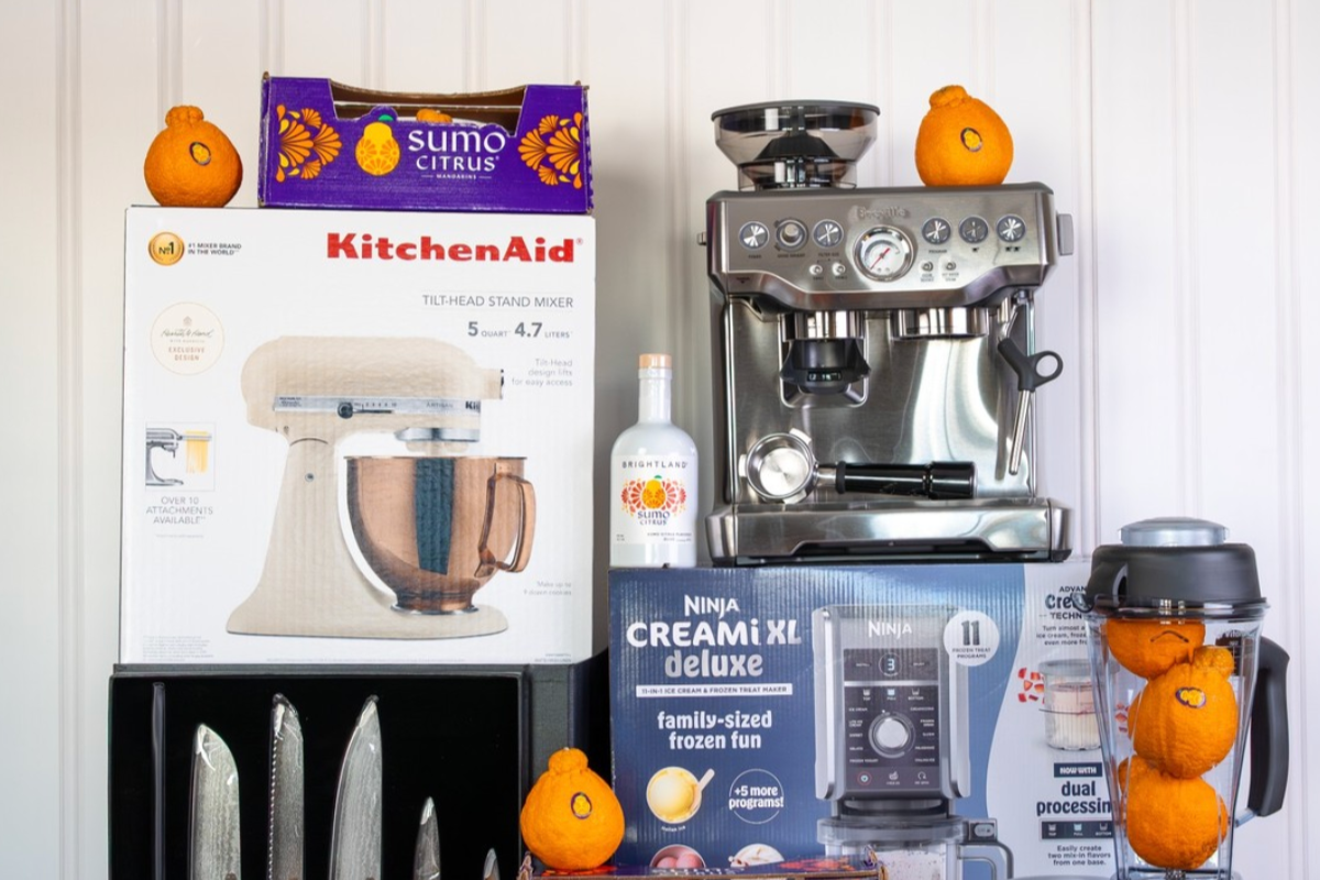 Vitamix, Espresso Machine, Ice Cream Maker, and More