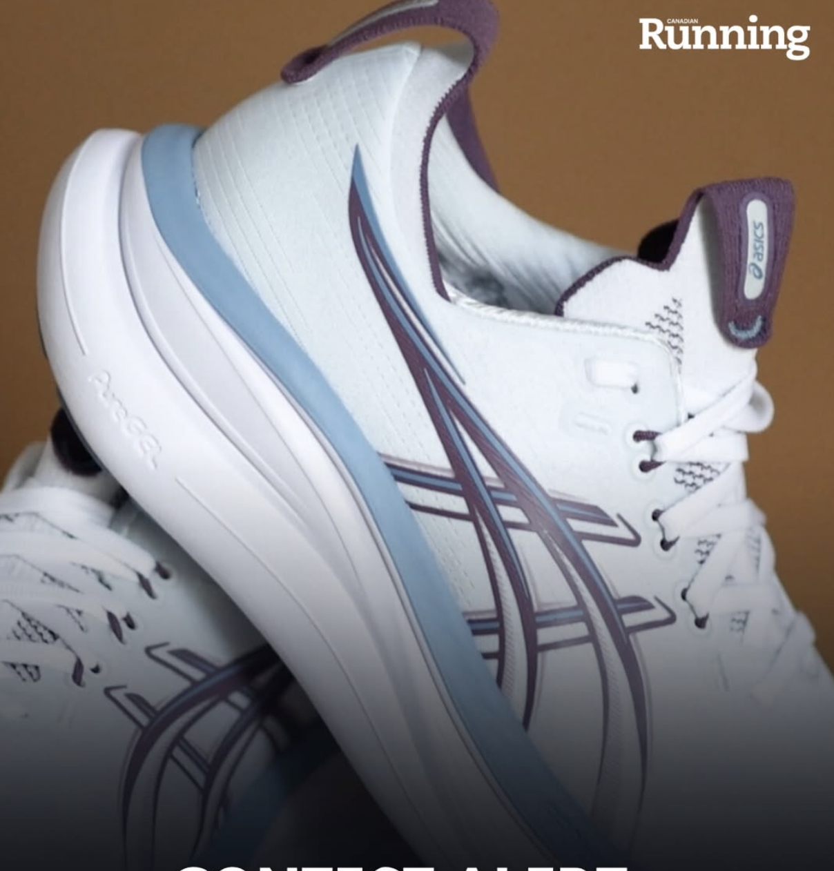 Pair of Asics Gel Numbus 28
