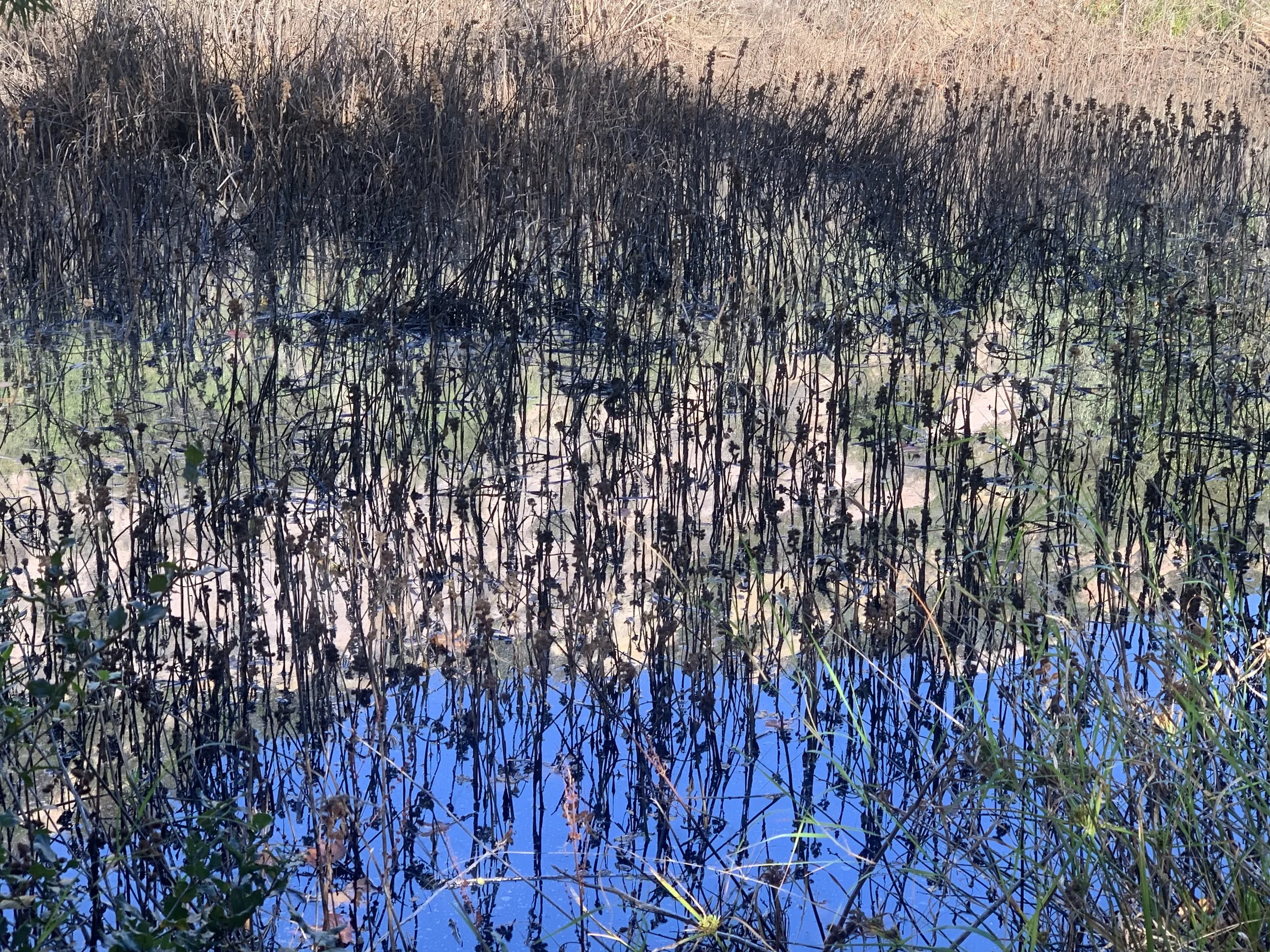 Taft Gardens Artists In Residence Group Exhibition