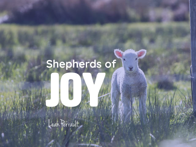 Shepherds of Joy