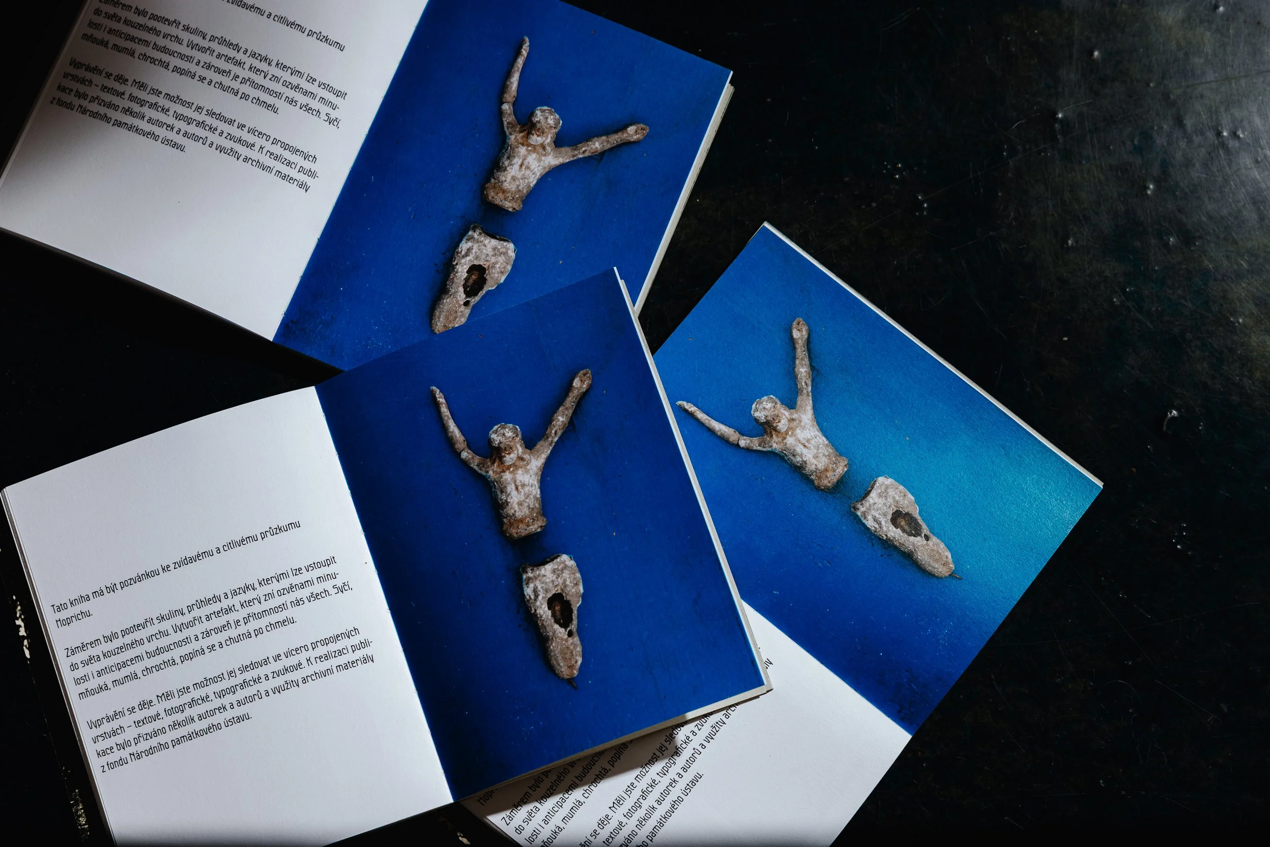 Hoprich-Book-0803.jpg