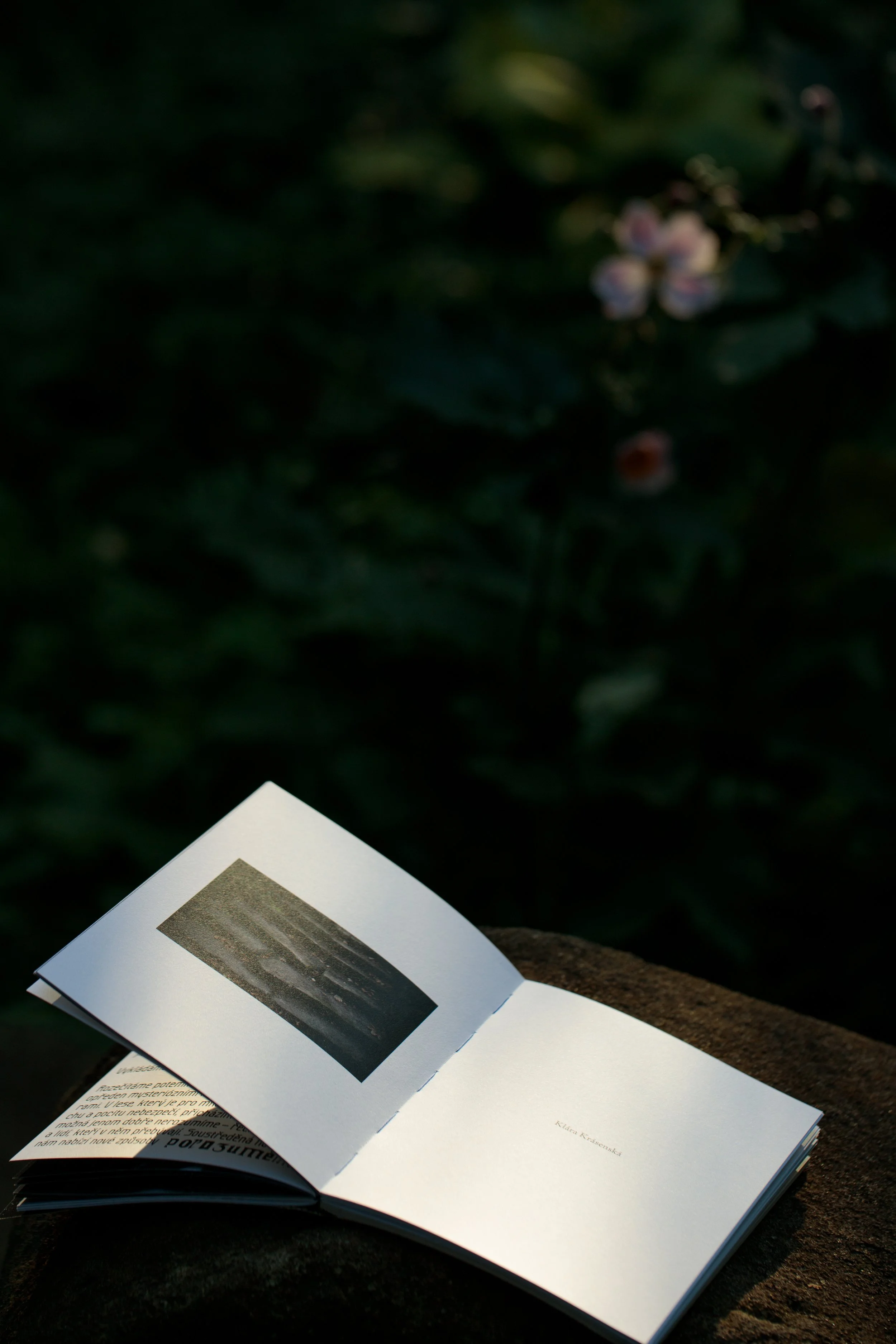 Hoprich-Book-0522.jpg