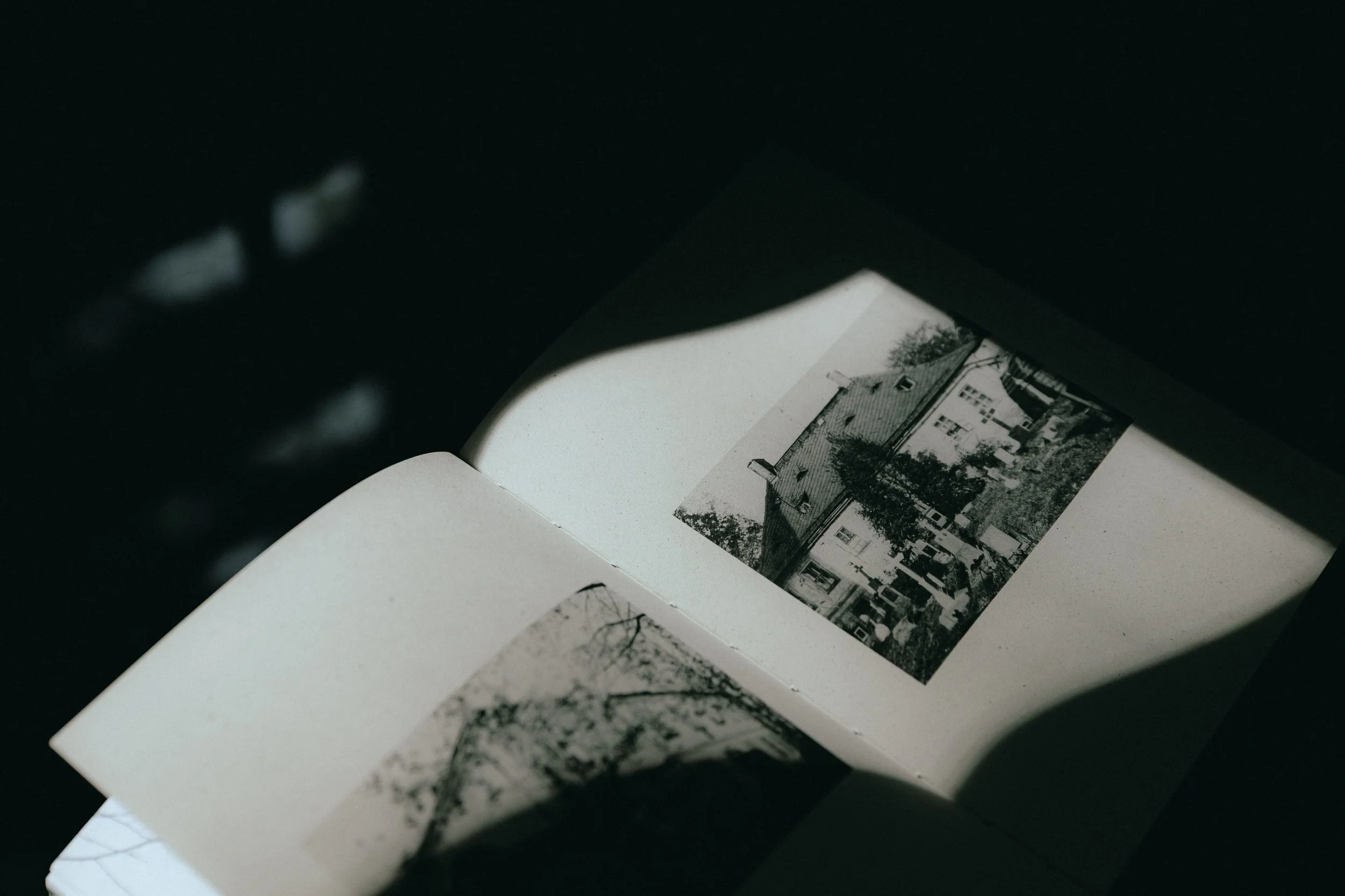 Hoprich-Book-0040.jpg
