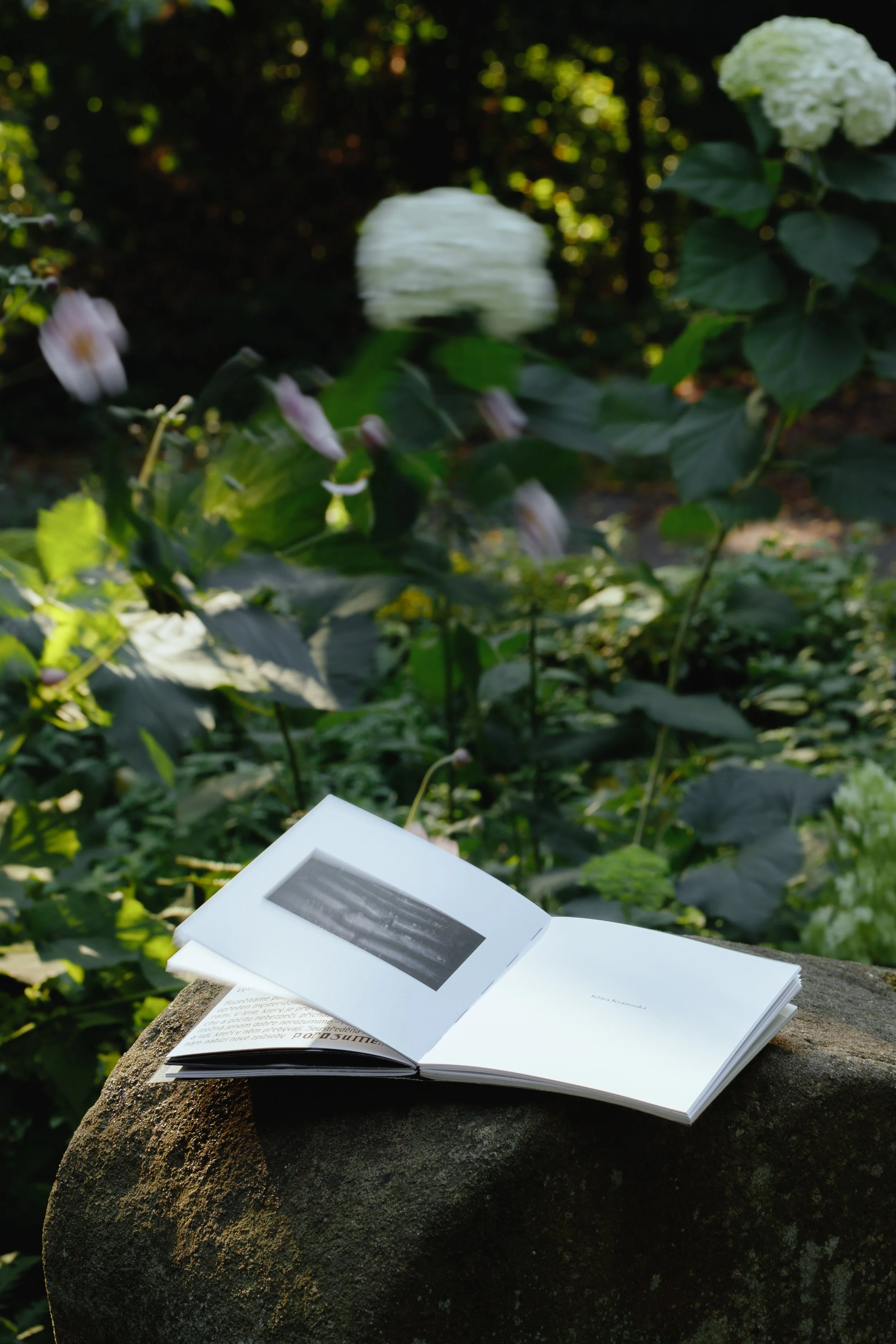 Hoprich-Book-0533.jpg