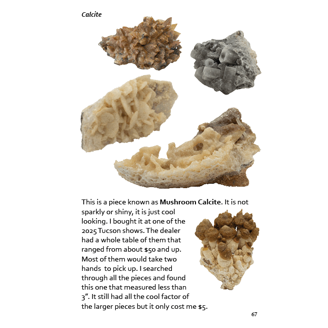 EZ2 Rocks And Minerals Page 67.png