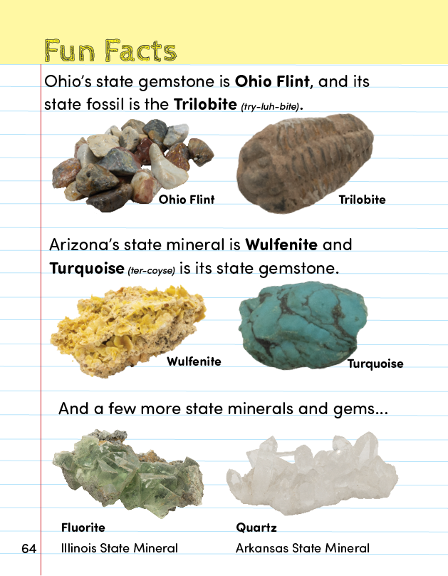 AARMKG_pg64_web.png