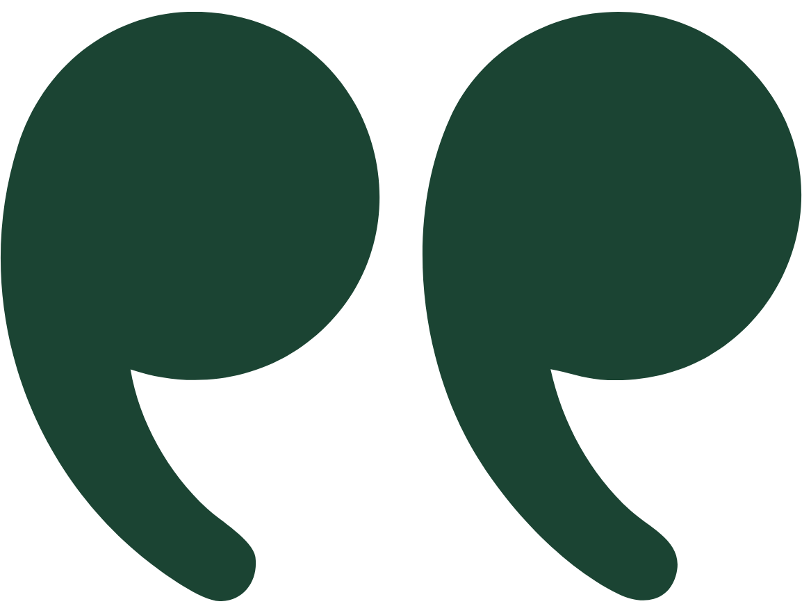 An image of a quotation mark indicating the customer review that's going to proceed
