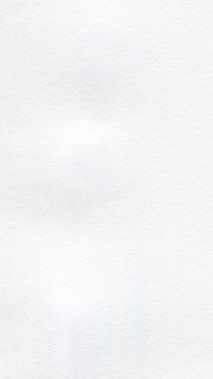 Plain white textured paper background.