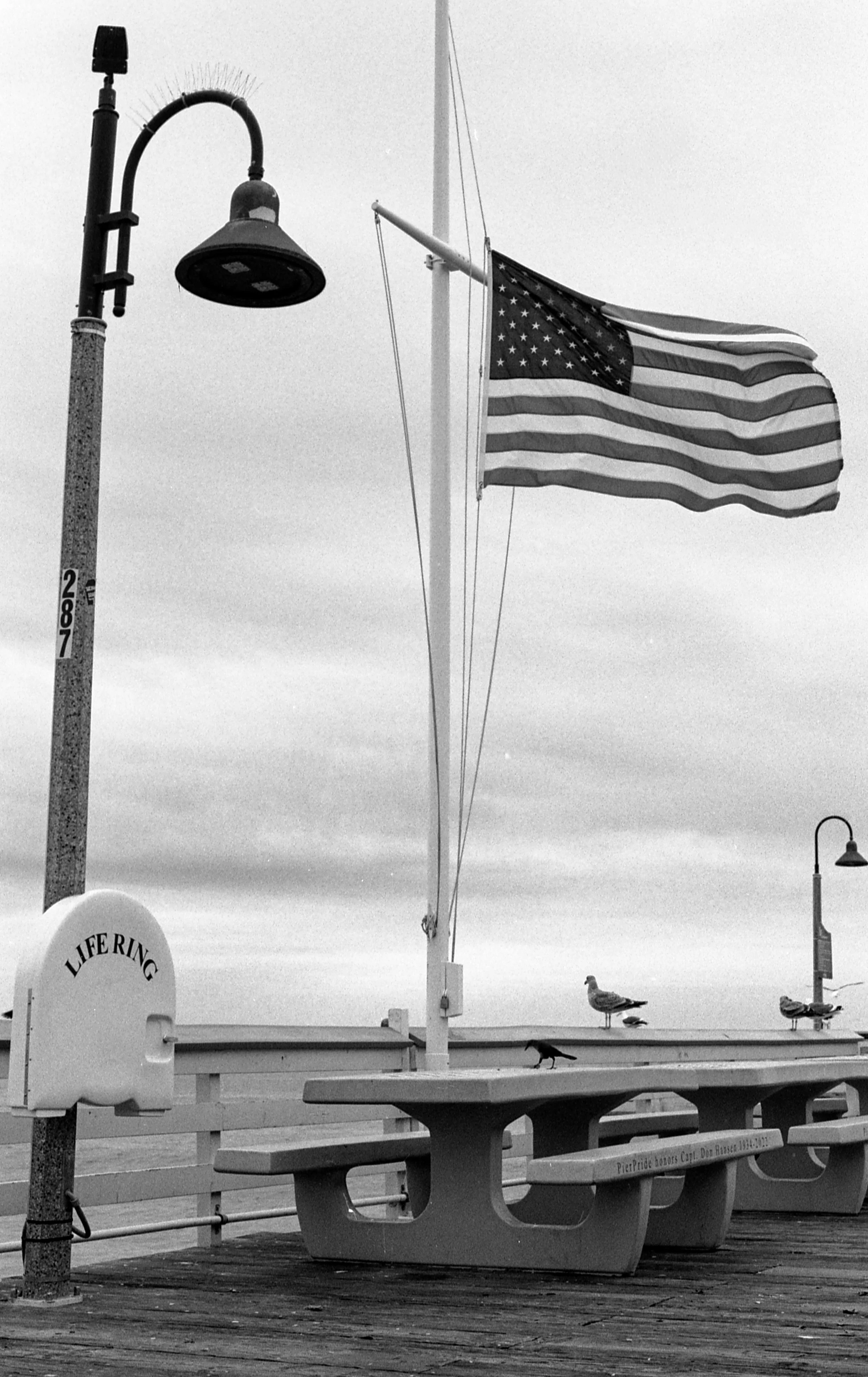 Black and white photo of a seaside pier with an American flag fluttering, a lamppost, seagulls on a picnic table, and a life ring labeled 'LIFE RING'.