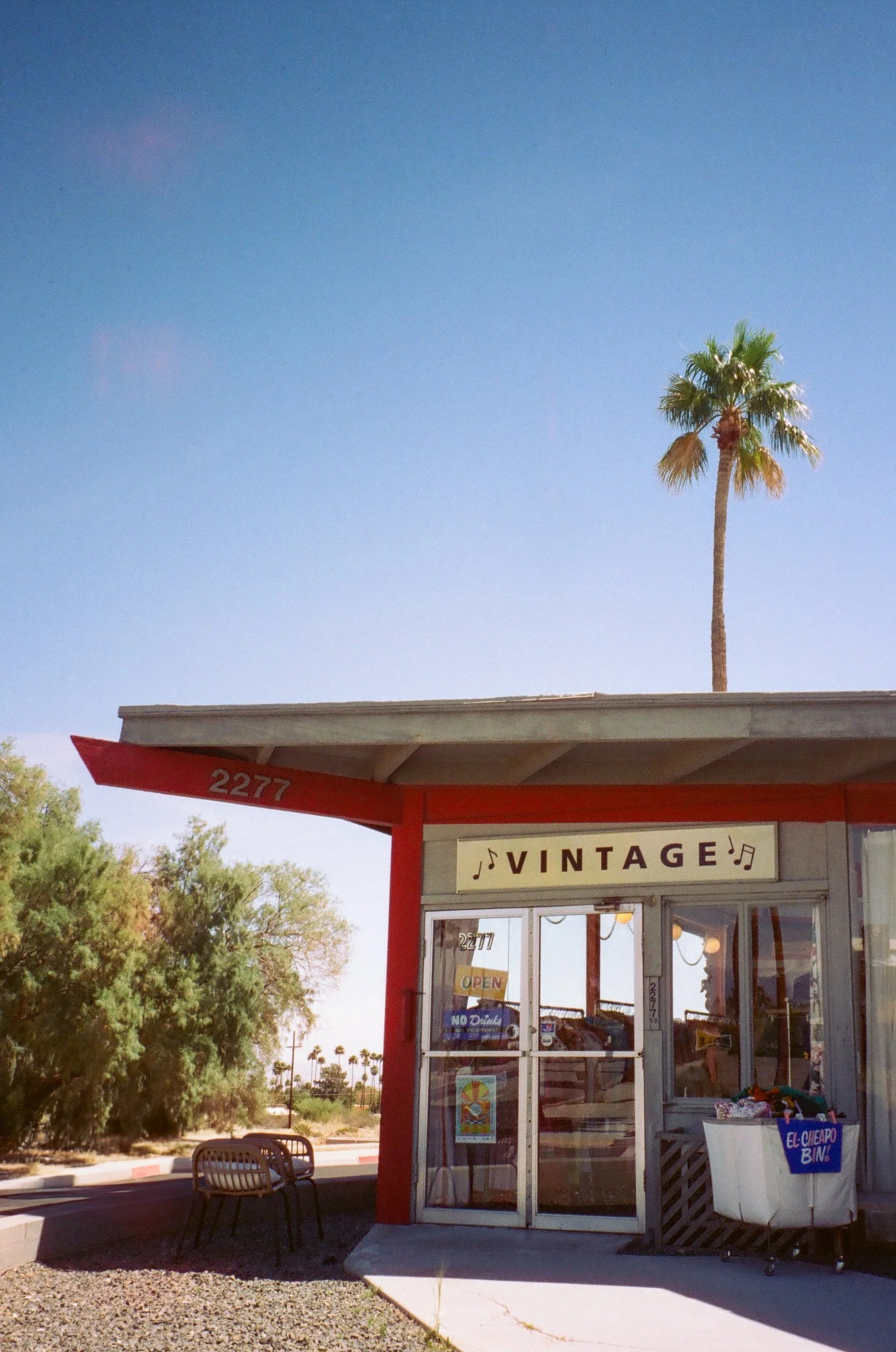 A vintage store with a sign labeled 'VINTAGE' and a palm tree in the background under a clear blue sky.