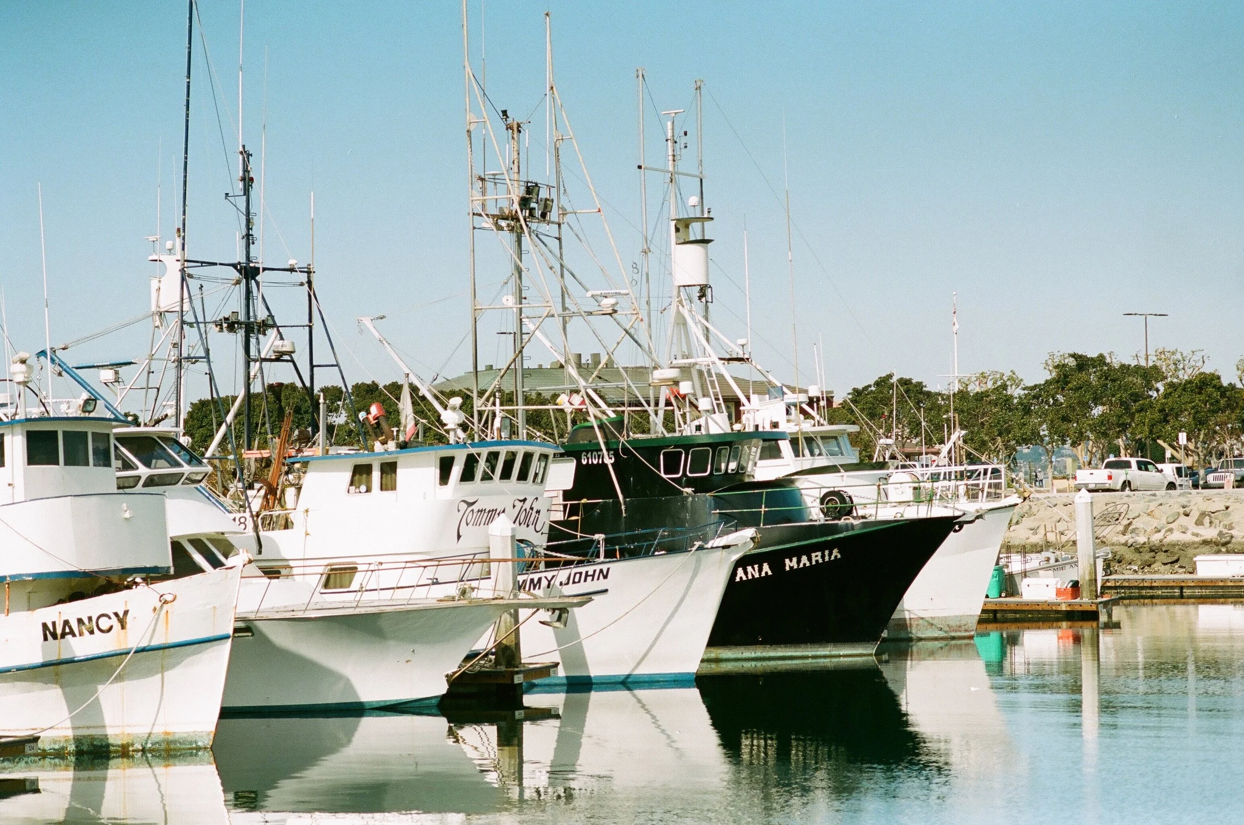 Several boats docked at a marina with calm water reflecting them, with a road and trees in the background under a clear sky.