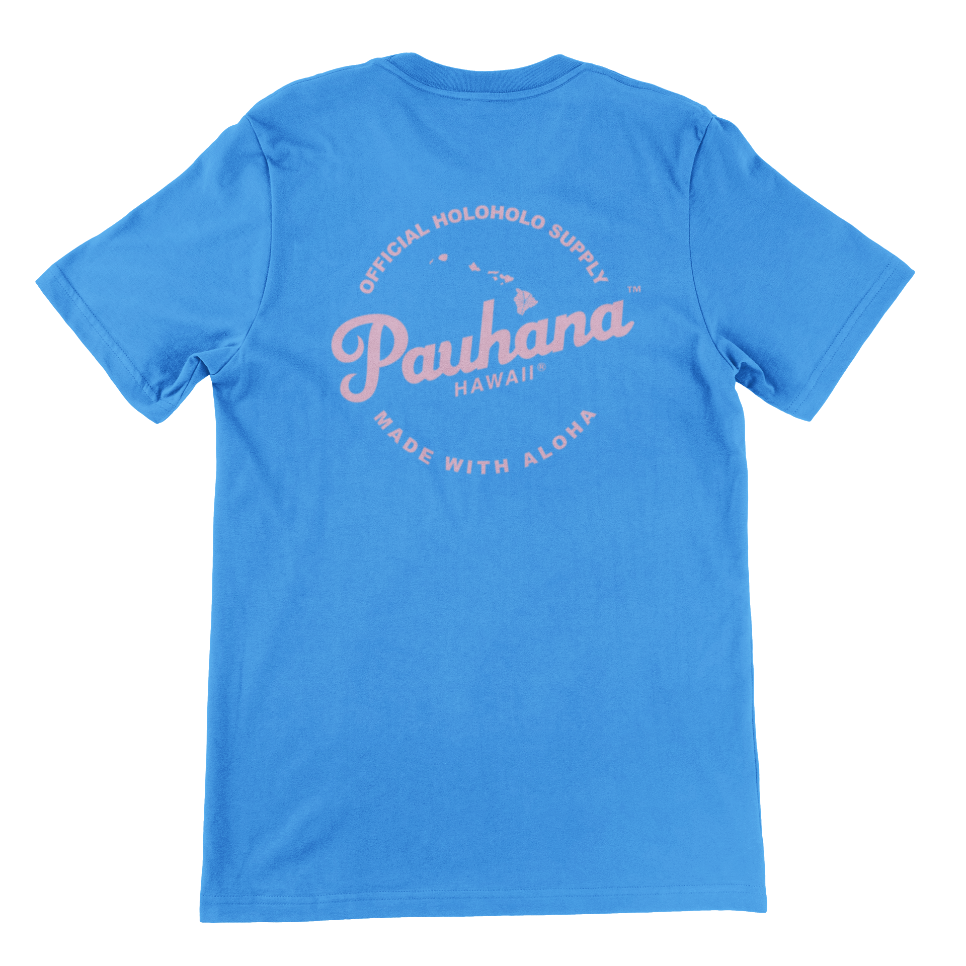 minimal-mockup-featuring-the-back-of-a-t-shirt-on-a-solid-color-surface-166-el (13).png