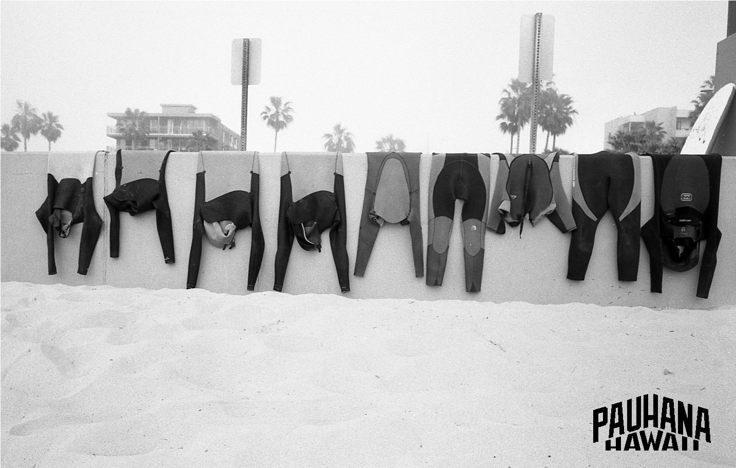 Surfboards and wetsuits hanging on a wall at the beach with palm trees and buildings in the background.