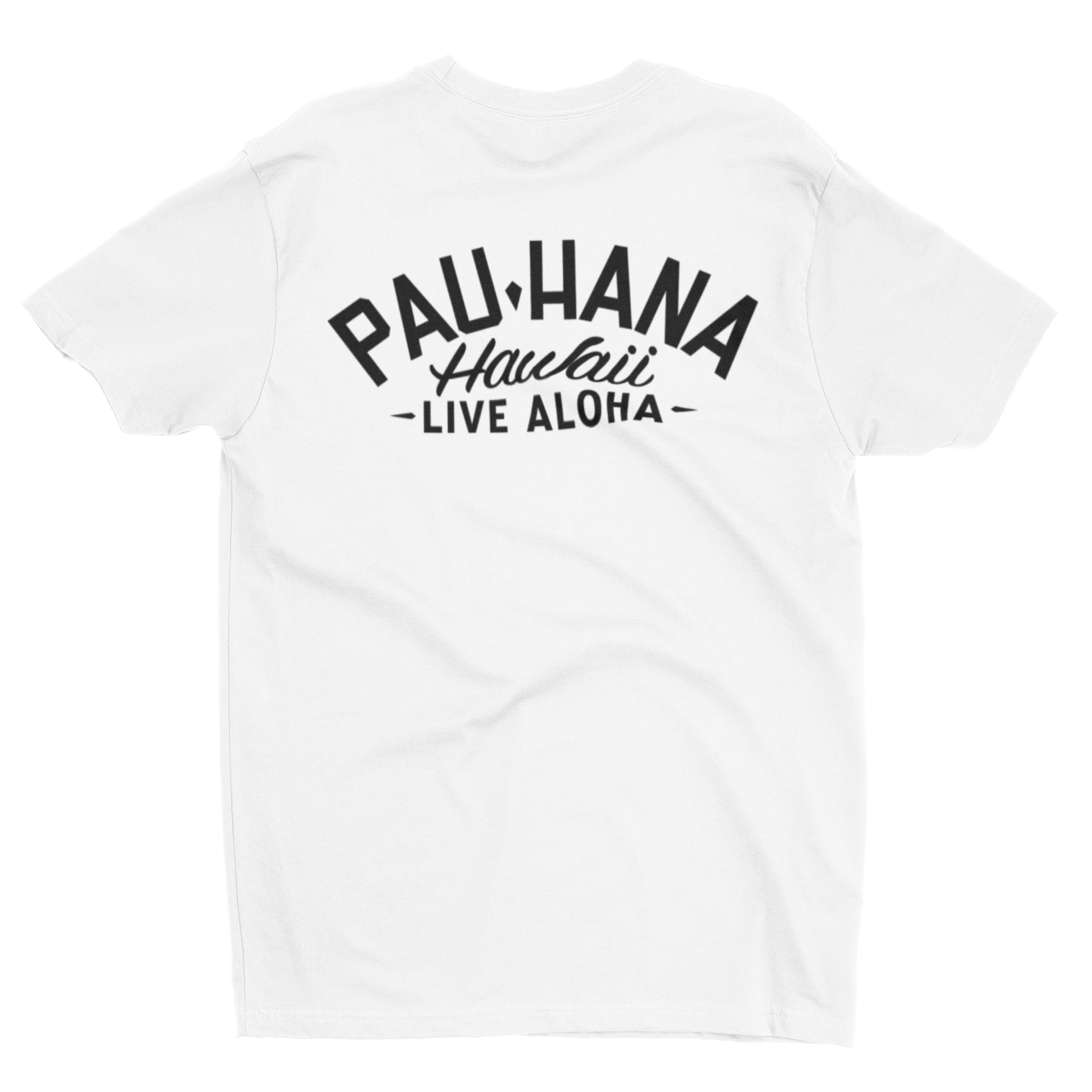 mockup-featuring-the-back-of-a-tee-against-a-plain-background-220-el1 (2).png