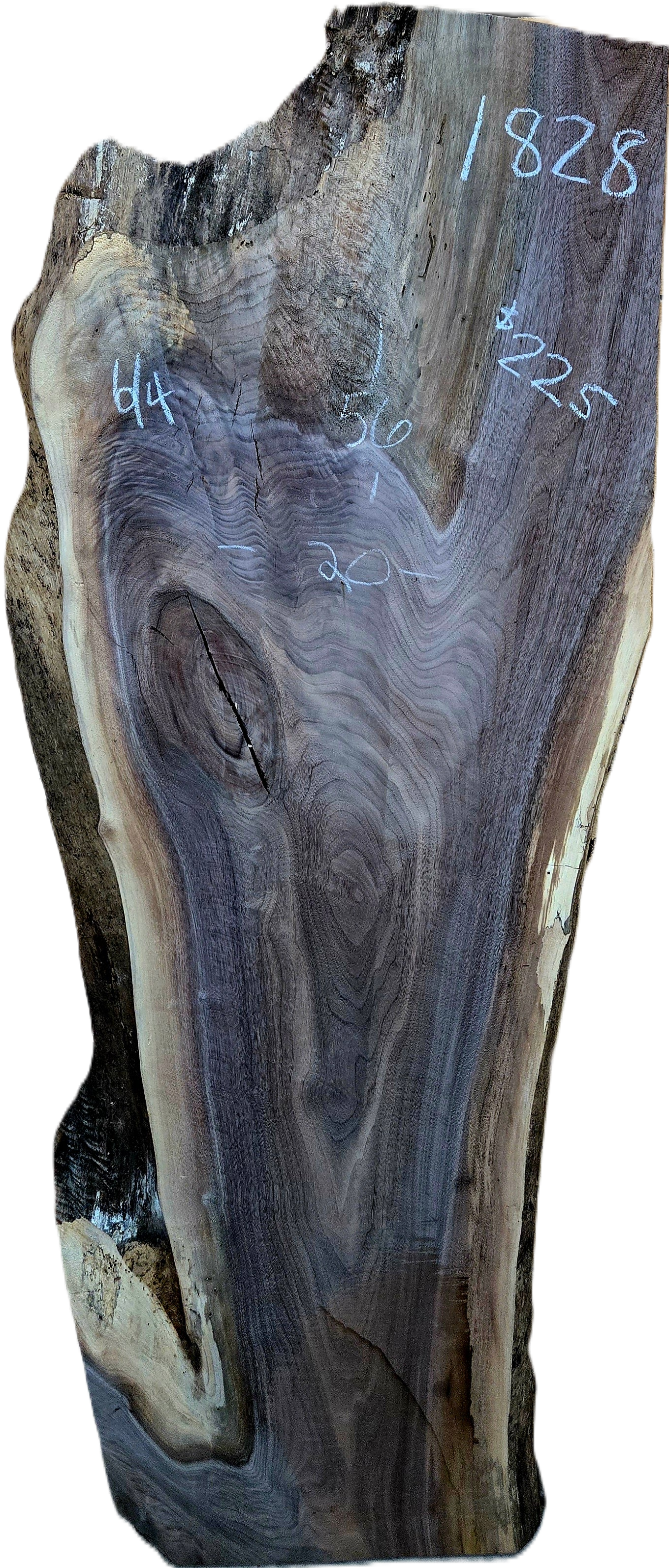 Live Edge Walnut Slab.png