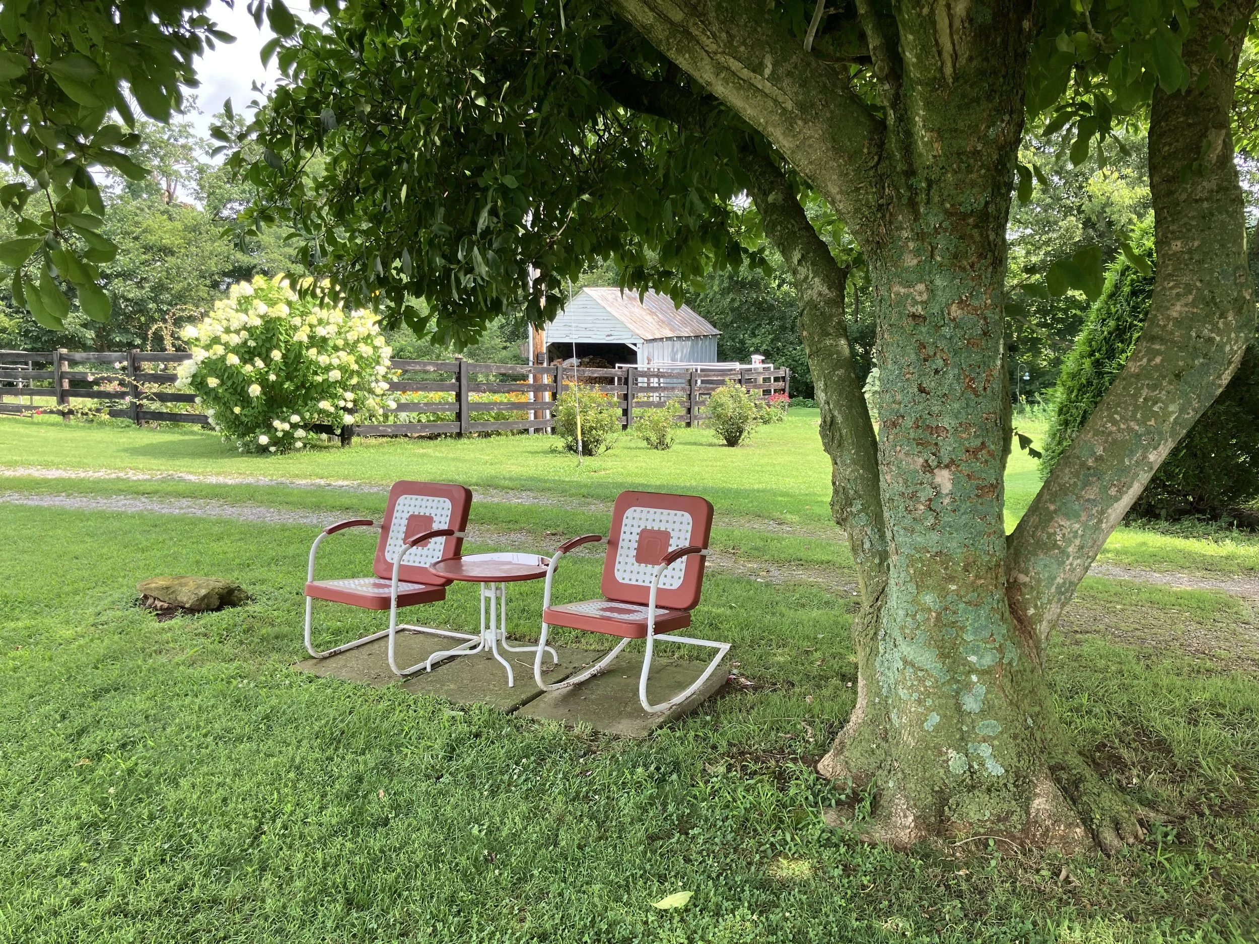 Chairs Under the Shade Tree