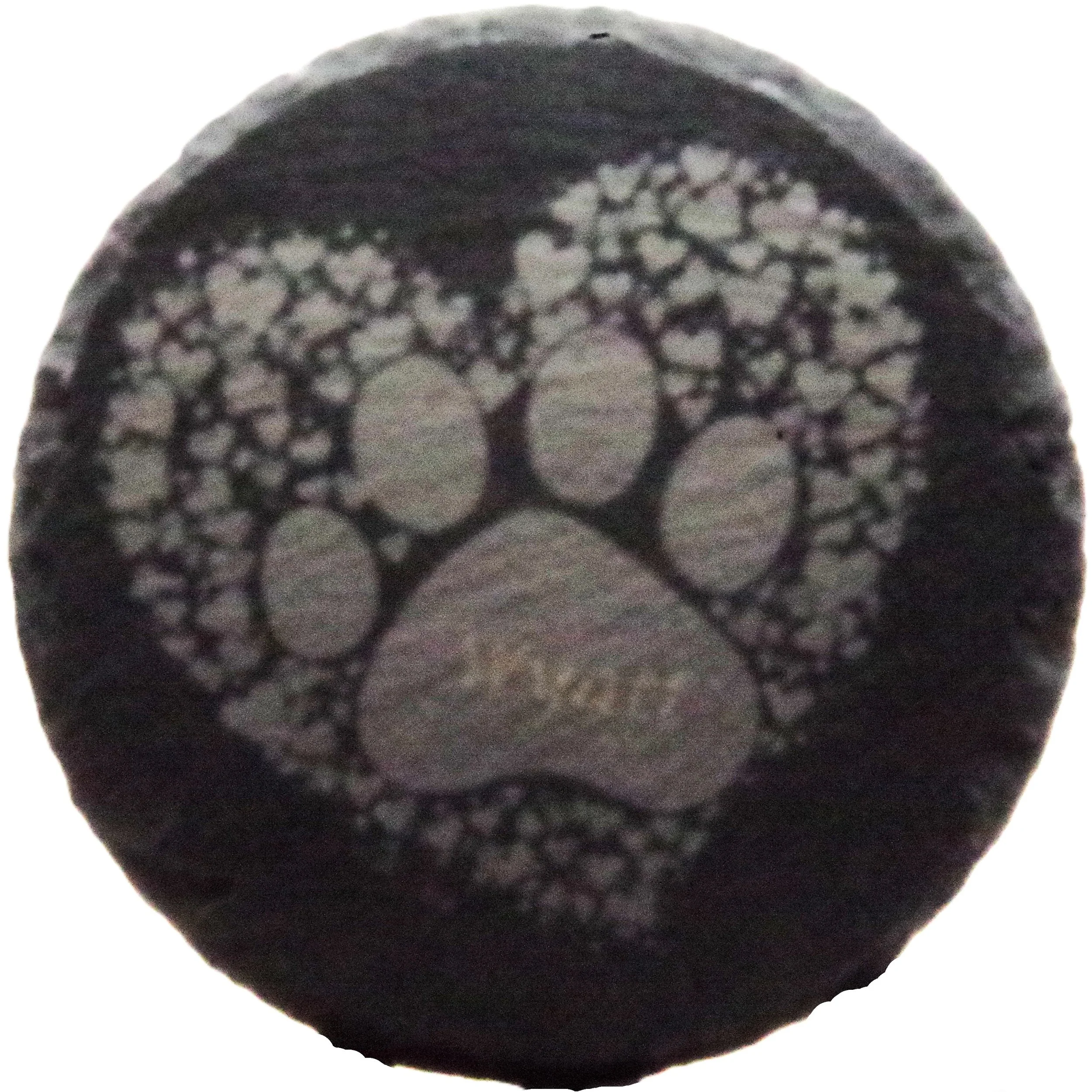 CR012 Memorial Pet Coaster