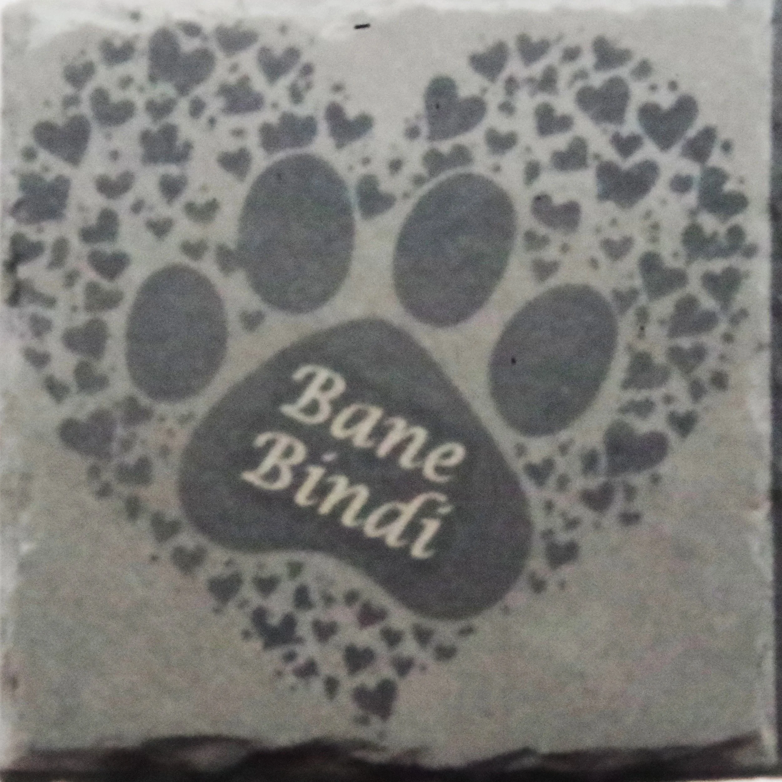 CS033 Pet Memorial Coaster
