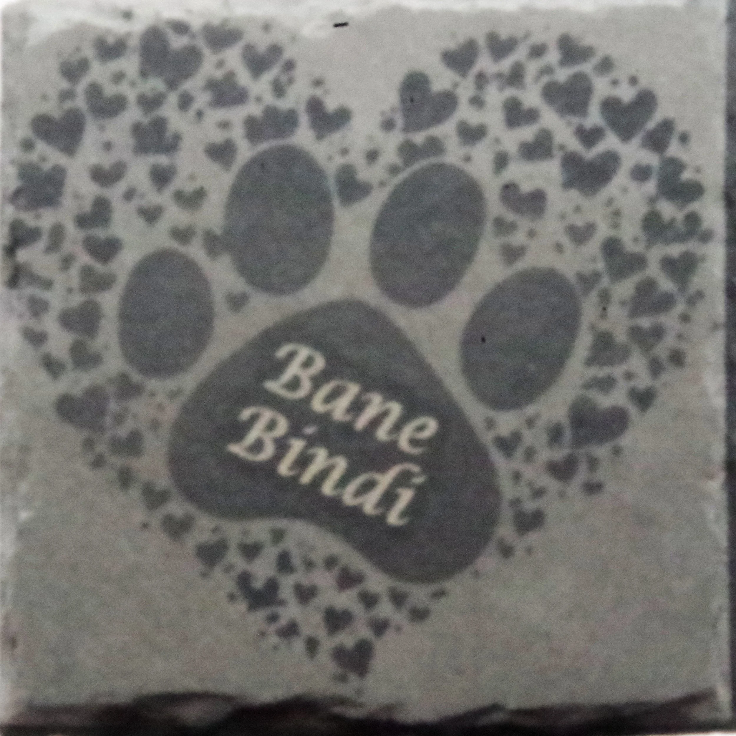CS033 Memorial Pet Paw.jpg