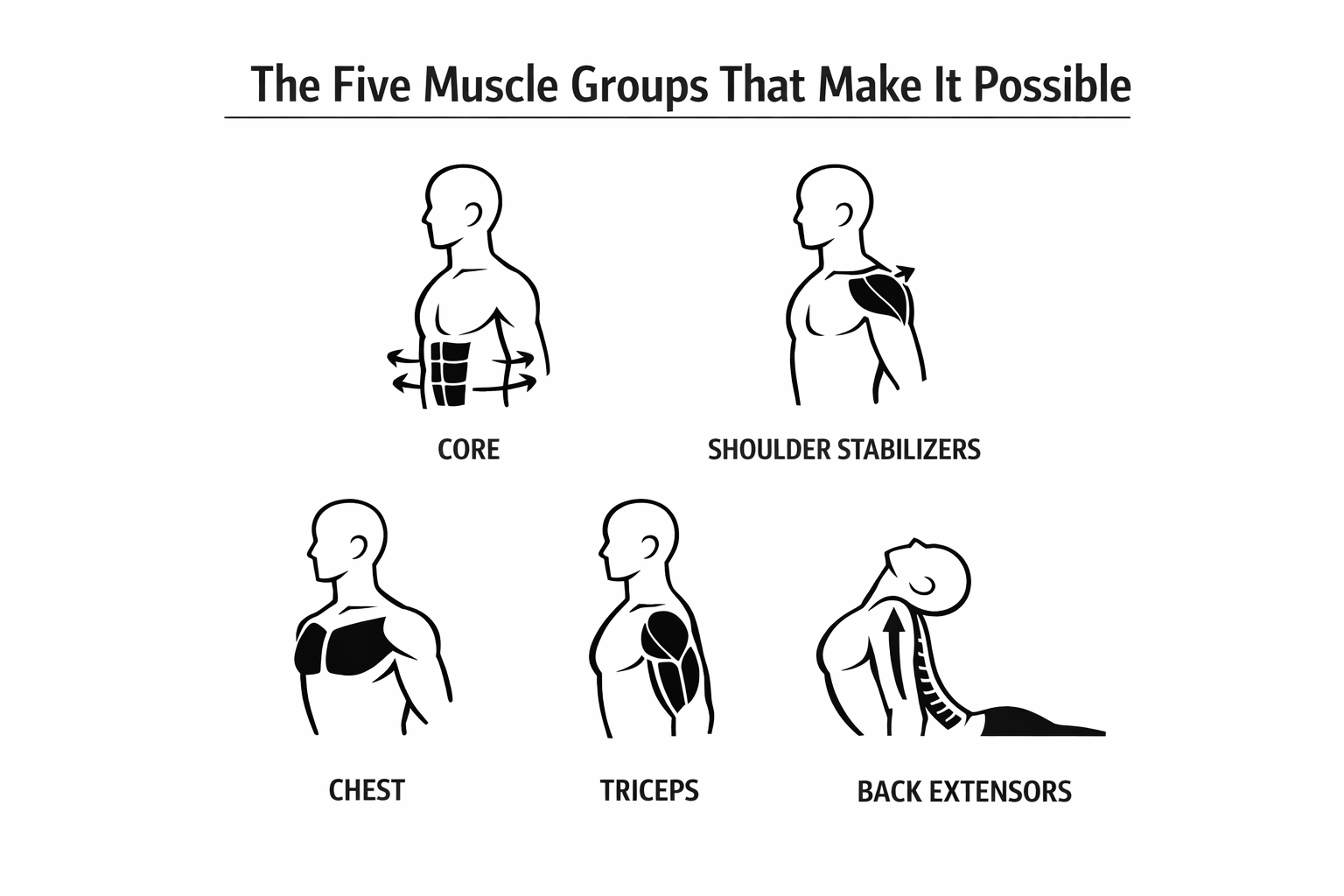 From Chaturanga to Upward Dog Without Collapsing