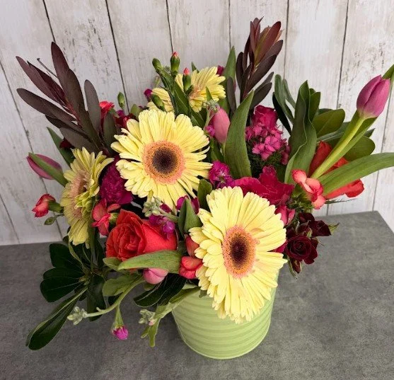 Screenshot 2026-02-19 110308.jpg