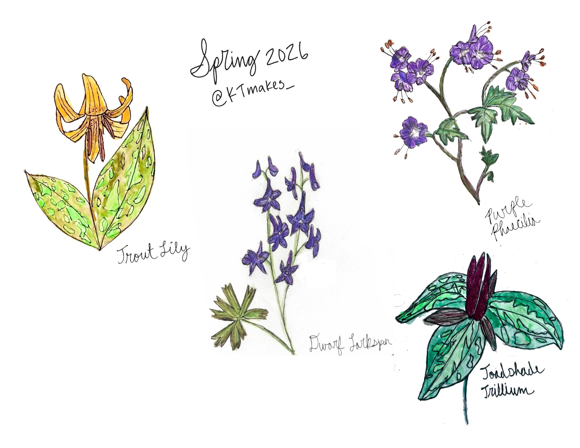 Spring 2026 Wildflower Stickers
