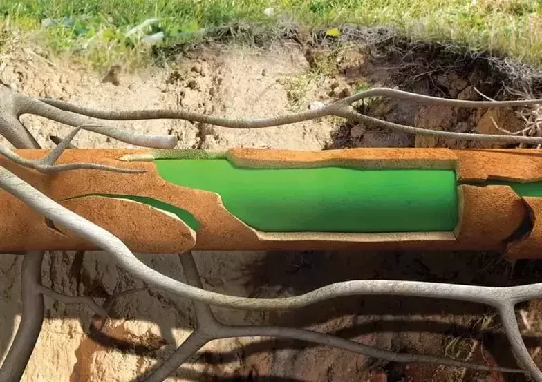 A cross-section of a tree trunk revealing a hollow cavity filled with green liquid and surrounded by roots and soil.