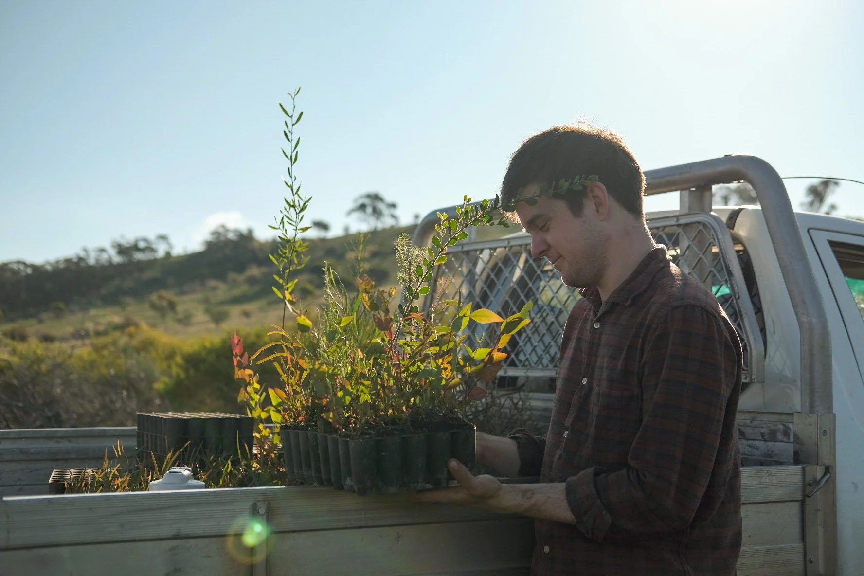 Hope in (the act of) restoration