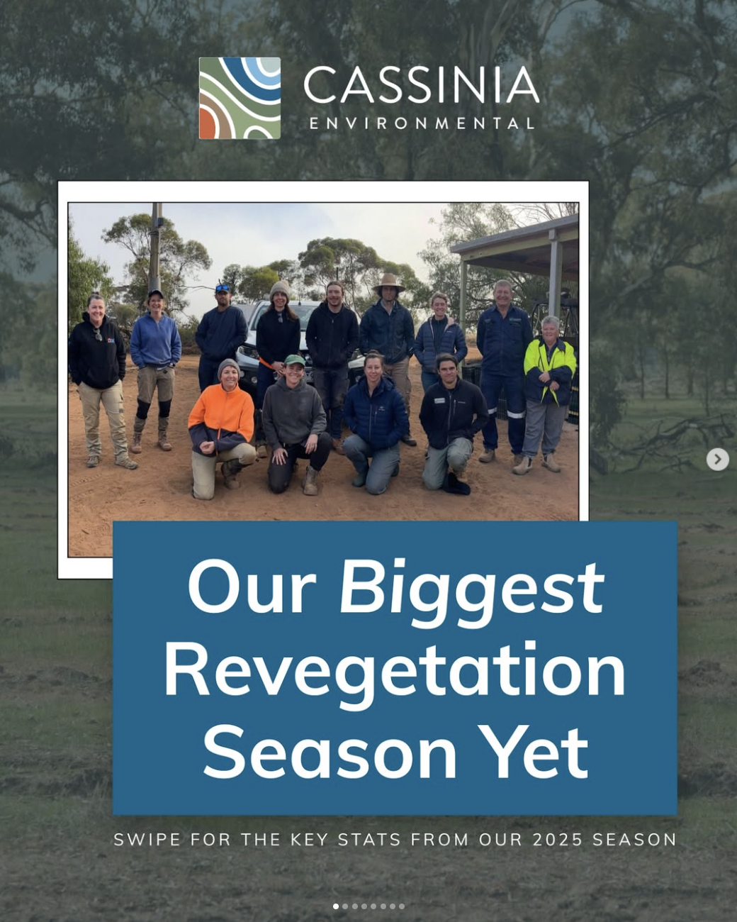 Frontpage image of Cassinia's Biggest Revegetation Season Yet from Cassinia Environmental Instagram