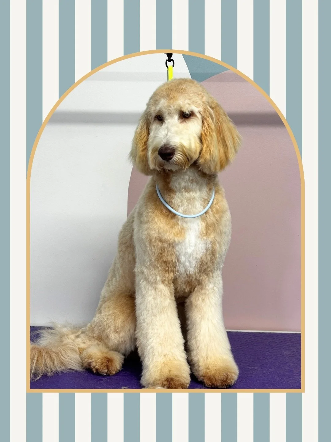 Feelin&rsquo; fresh! 🙌🏼
Swipe to see the before 💕