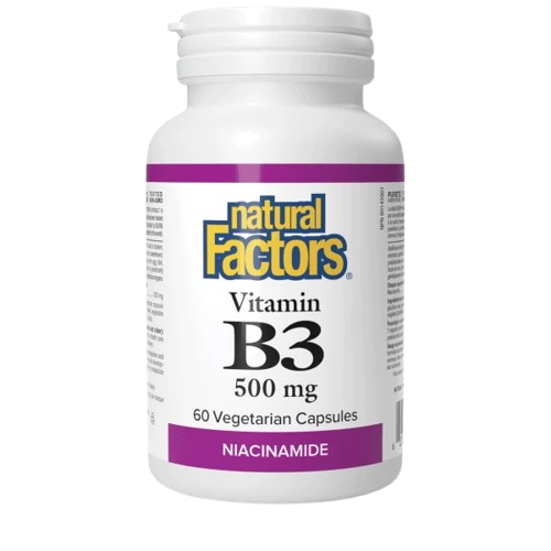 Natural Factors Vitamin B3 500 mg - 90 VCaps