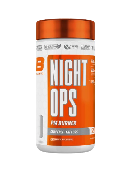 B1 Ballistic Night Ops