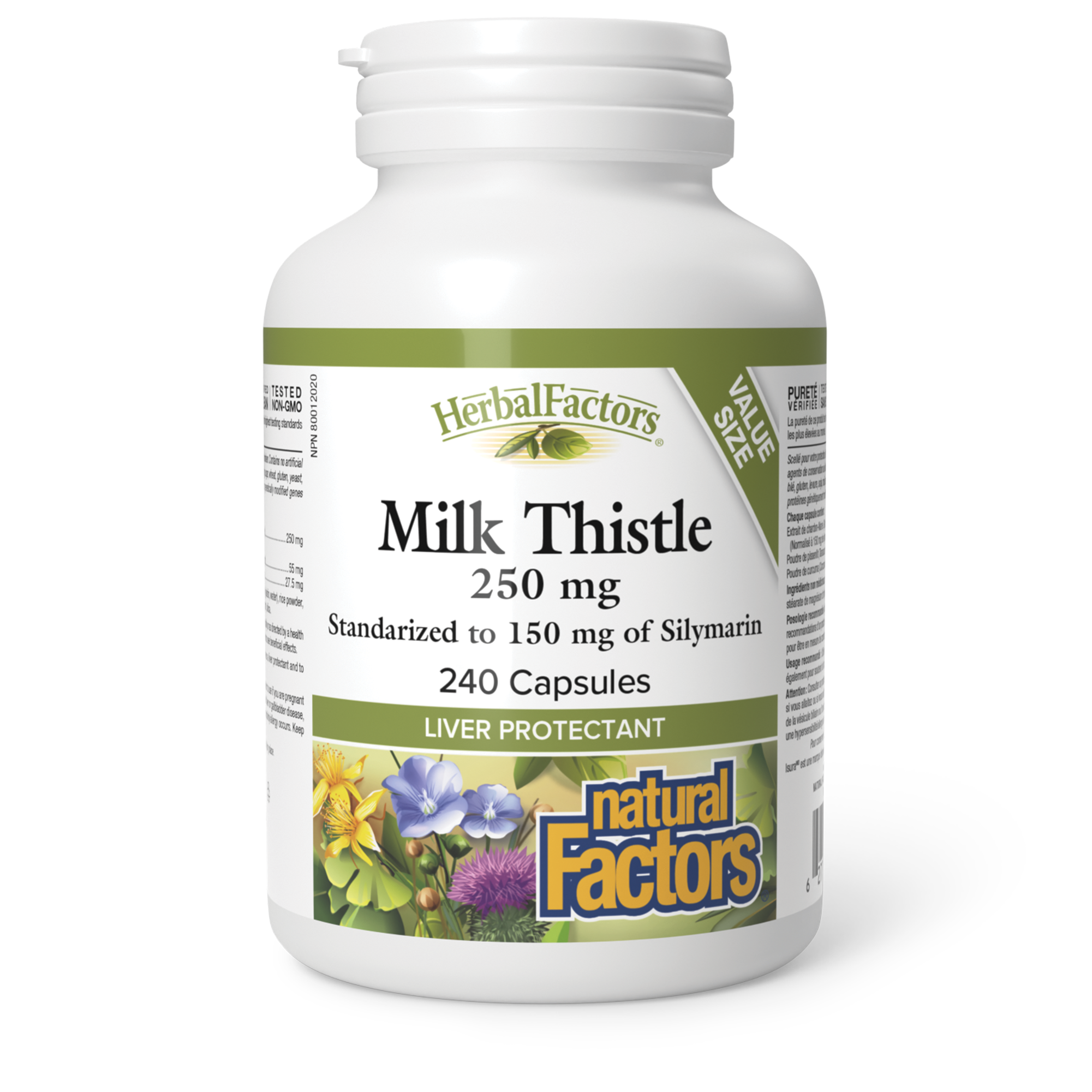 NF8183_milkthistle.png