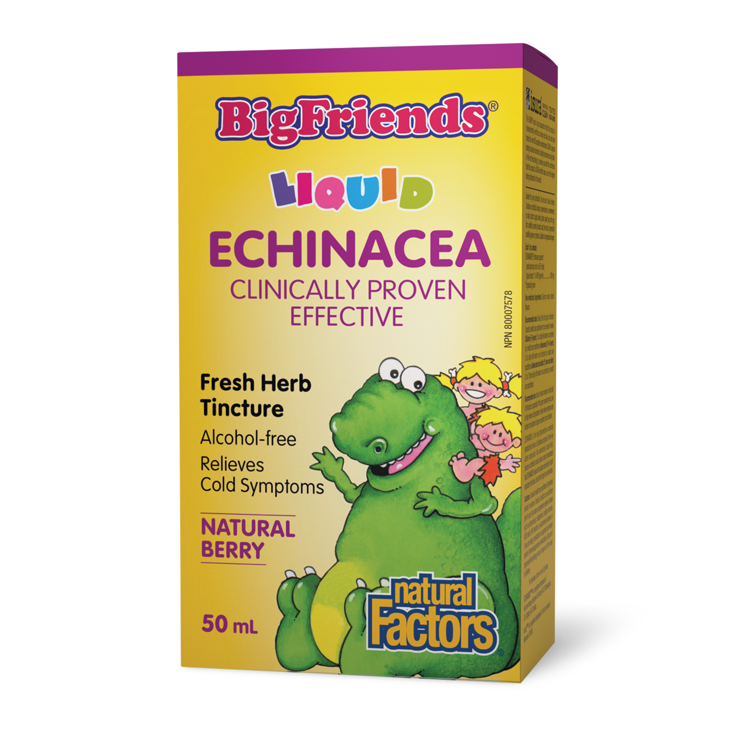 Natural Factors Big Friends Echinacea Alcohol-Free Fresh Herb Tincture for Kids - Natural Berry, 50mL
