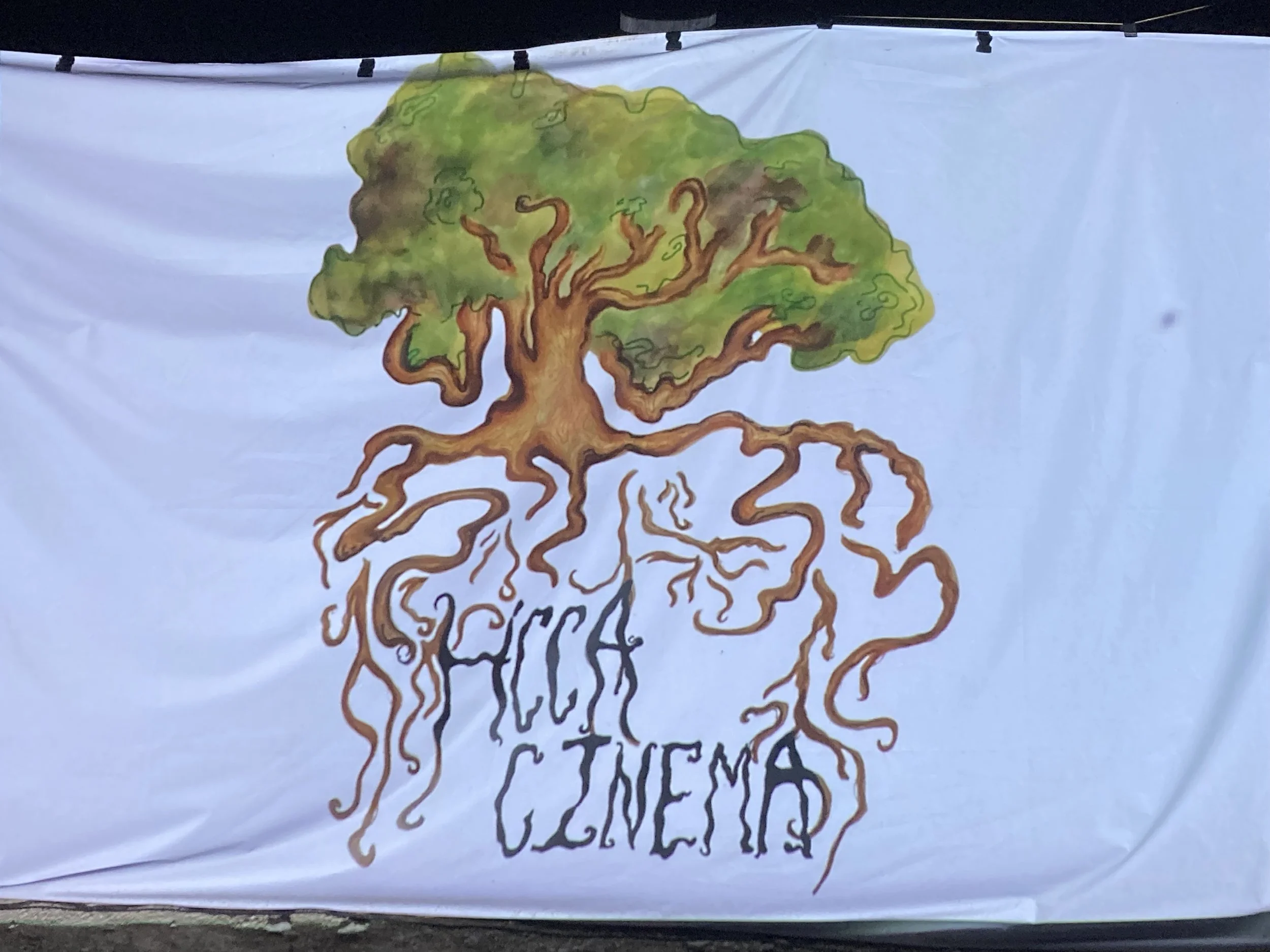 Spring Film Festival